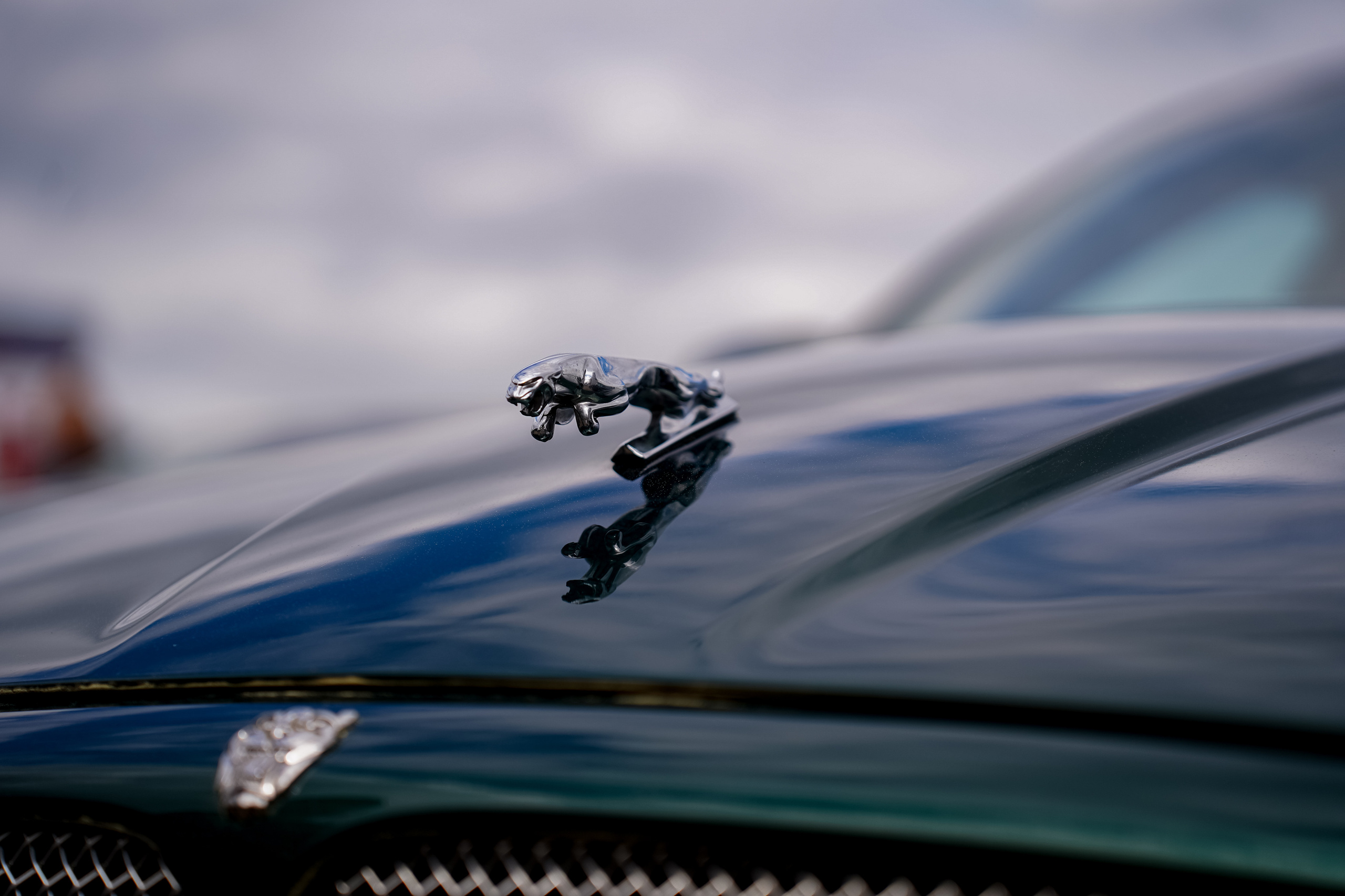 Автовыходные на Гребном канале 2023. Фотограф в Москве Ксения Насокина