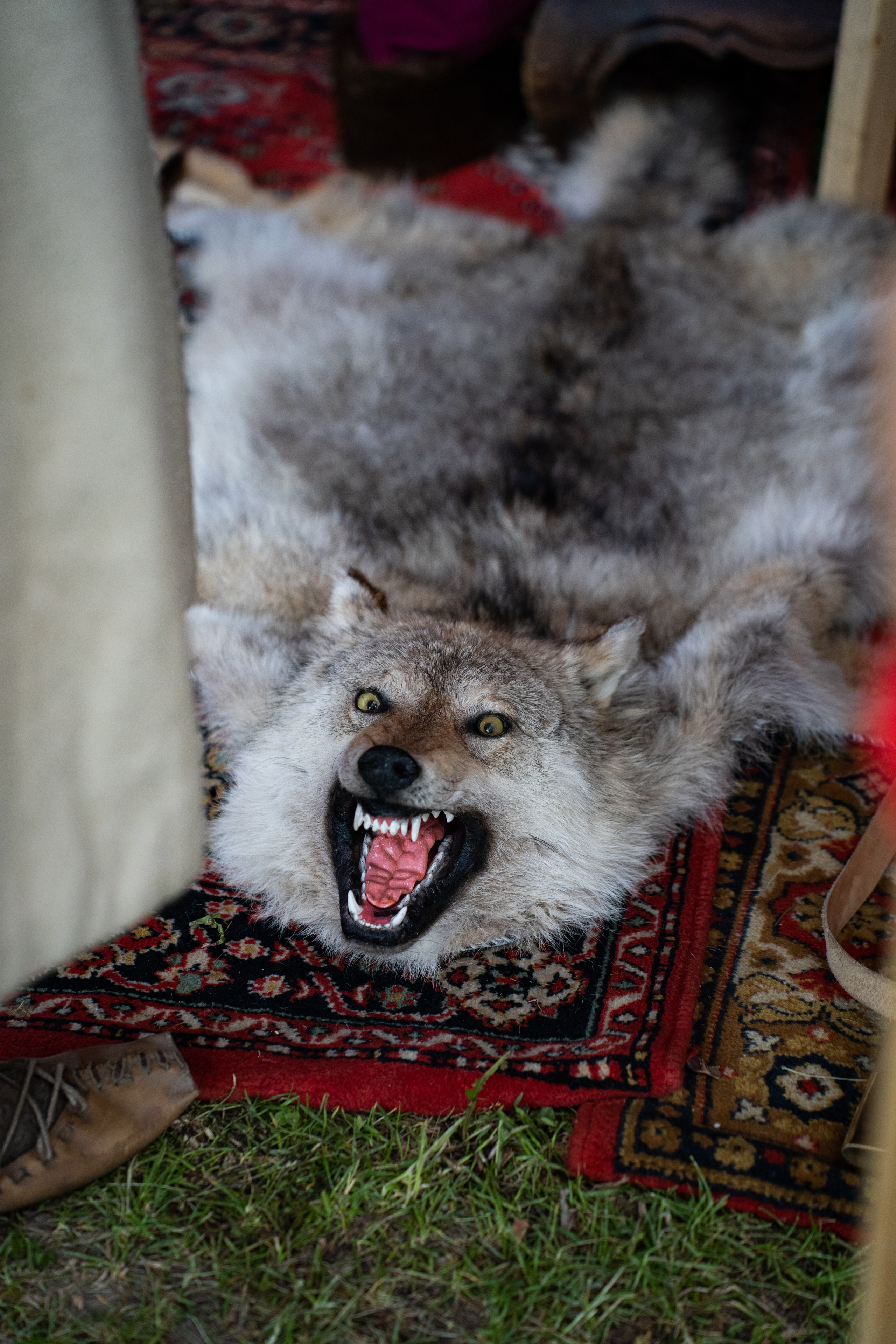 Фотографии фестиваль «Времена и эпохи» 10 июня 2023. Музей-заповедник «Коломенское», фотограф Ксения Насокина. Древняя Русь, Российская Империя, история, исторический фестиваль, реконструкторы, историческая реконструкция, 1654-1667 гг. Русско-польская война, XVII век, Запорожская Сечь, Речь Посполитая, быт царской России, стрелецкий полк, крылатые гусары, пикинёры, реконструкция сражения.