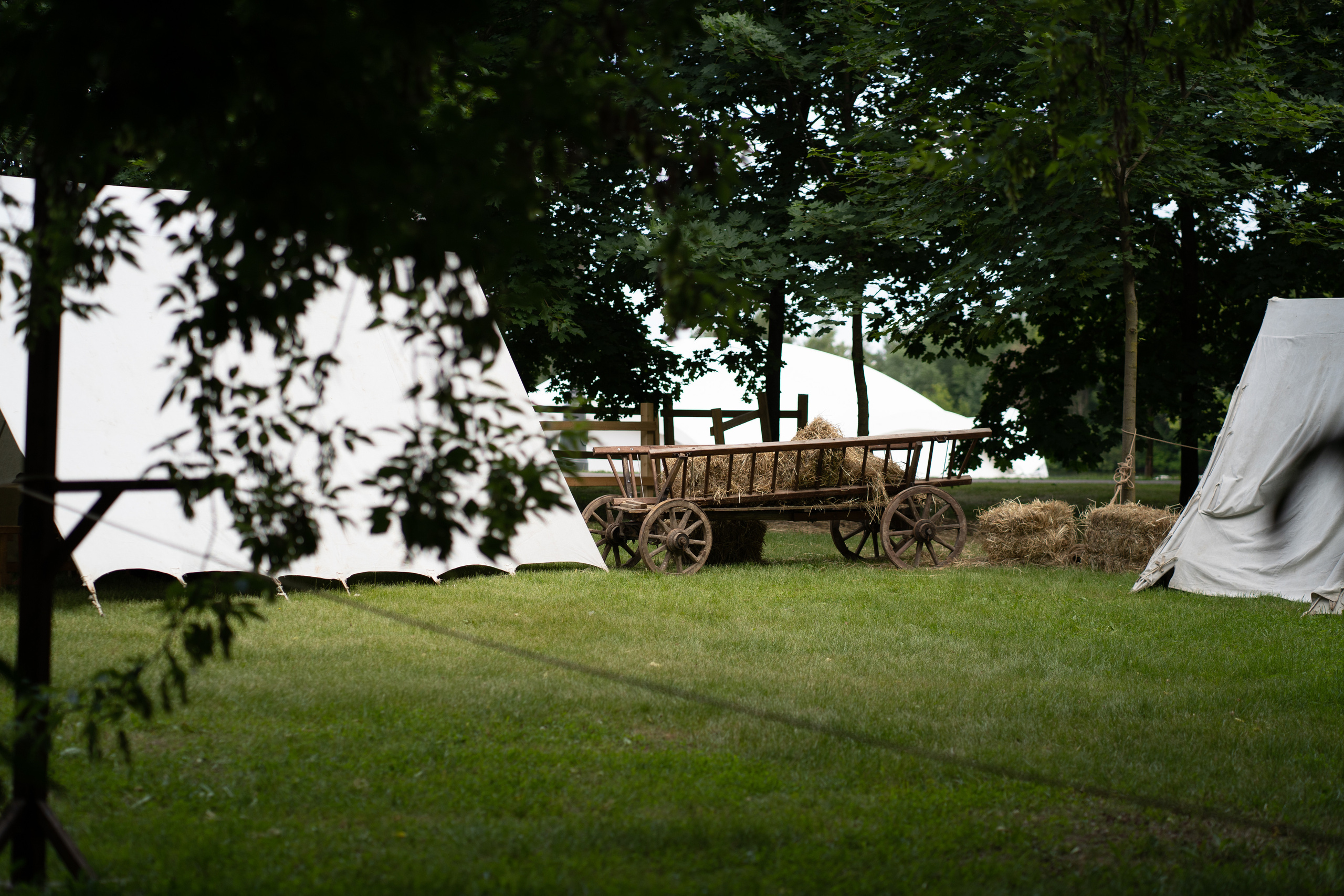 Фотографии фестиваль «Времена и эпохи» 10 июня 2023. Музей-заповедник «Коломенское», фотограф Ксения Насокина. Древняя Русь, Российская Империя, история, исторический фестиваль, реконструкторы, историческая реконструкция, 1654-1667 гг. Русско-польская война, XVII век, Запорожская Сечь, Речь Посполитая, быт царской России, стрелецкий полк, крылатые гусары, пикинёры, реконструкция сражения.