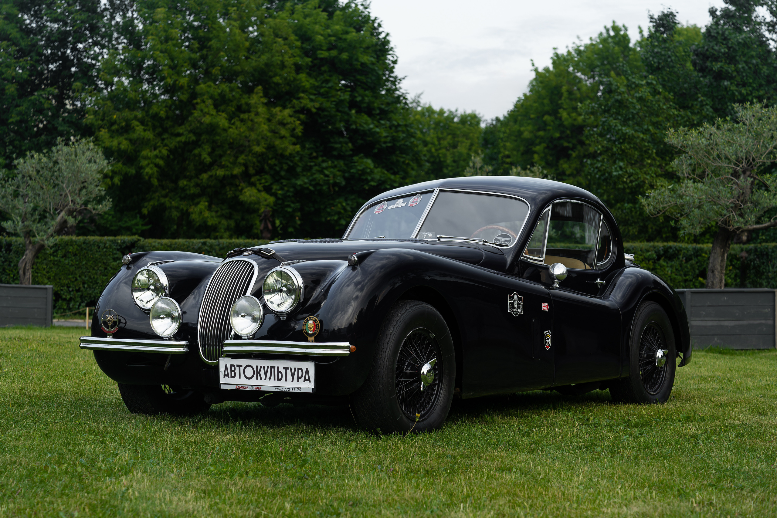 Авто фестиваль Автокультура 2023. Фотограф в Москве Ксения Насокина