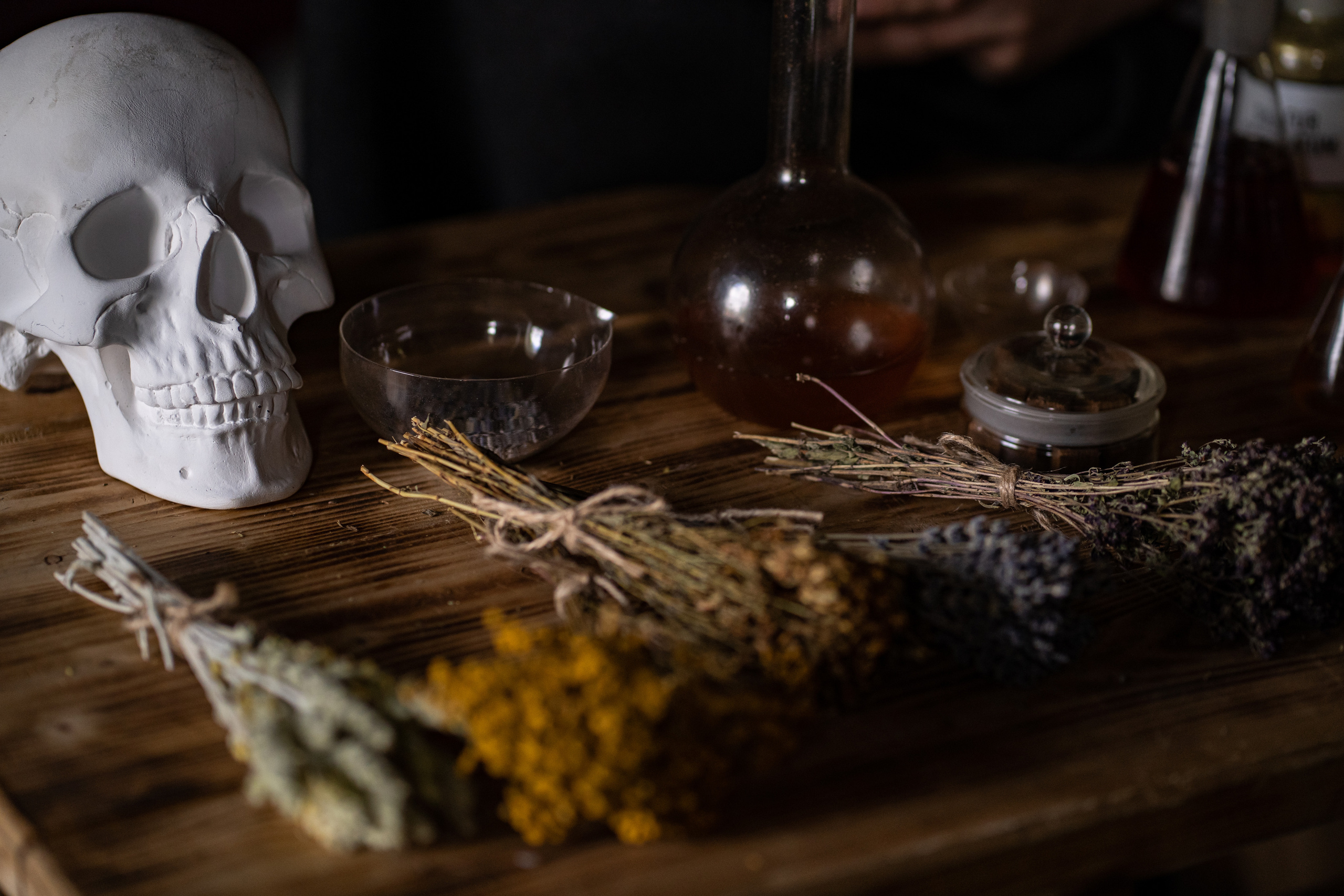 Фотографии фестиваль «Времена и эпохи» 10 июня 2023. Музей-заповедник «Коломенское», фотограф Ксения Насокина. Древняя Русь, Российская Империя, история, исторический фестиваль, реконструкторы, историческая реконструкция, 1654-1667 гг. Русско-польская война, XVII век, Запорожская Сечь, Речь Посполитая, быт царской России, стрелецкий полк, крылатые гусары, пикинёры, реконструкция сражения.