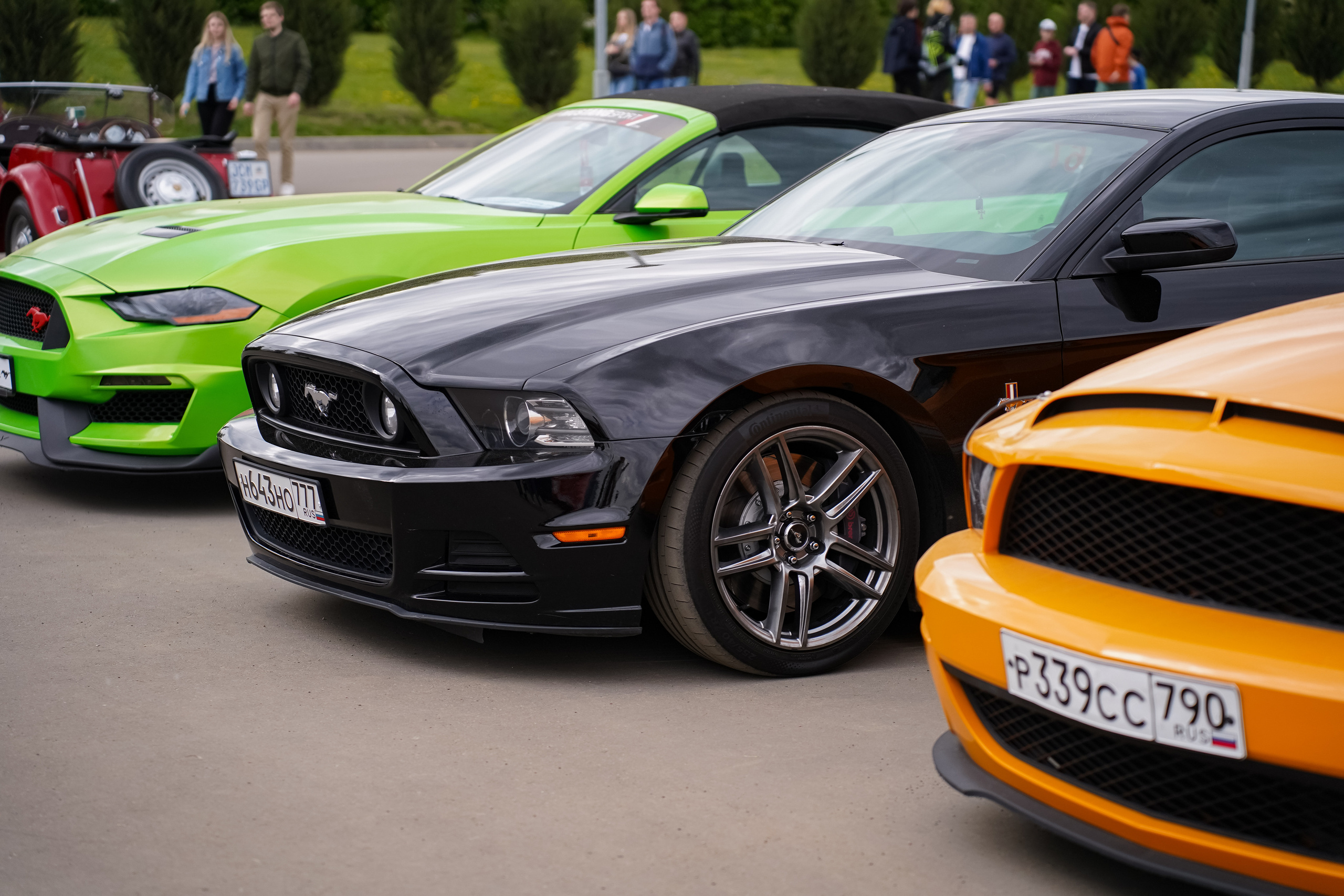 Автовыходные на Гребном канале 2023. Фотограф в Москве Ксения Насокина