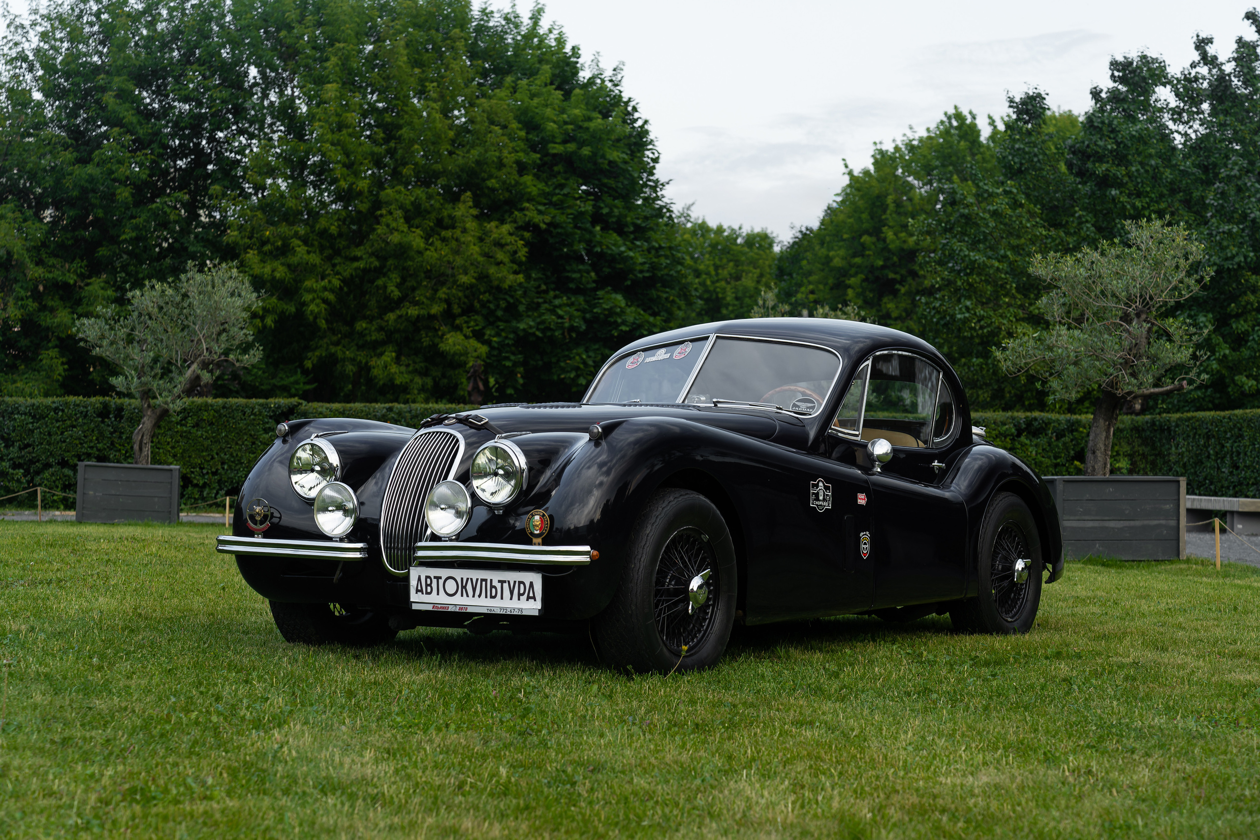 Авто фестиваль Автокультура 2023. Фотограф в Москве Ксения Насокина