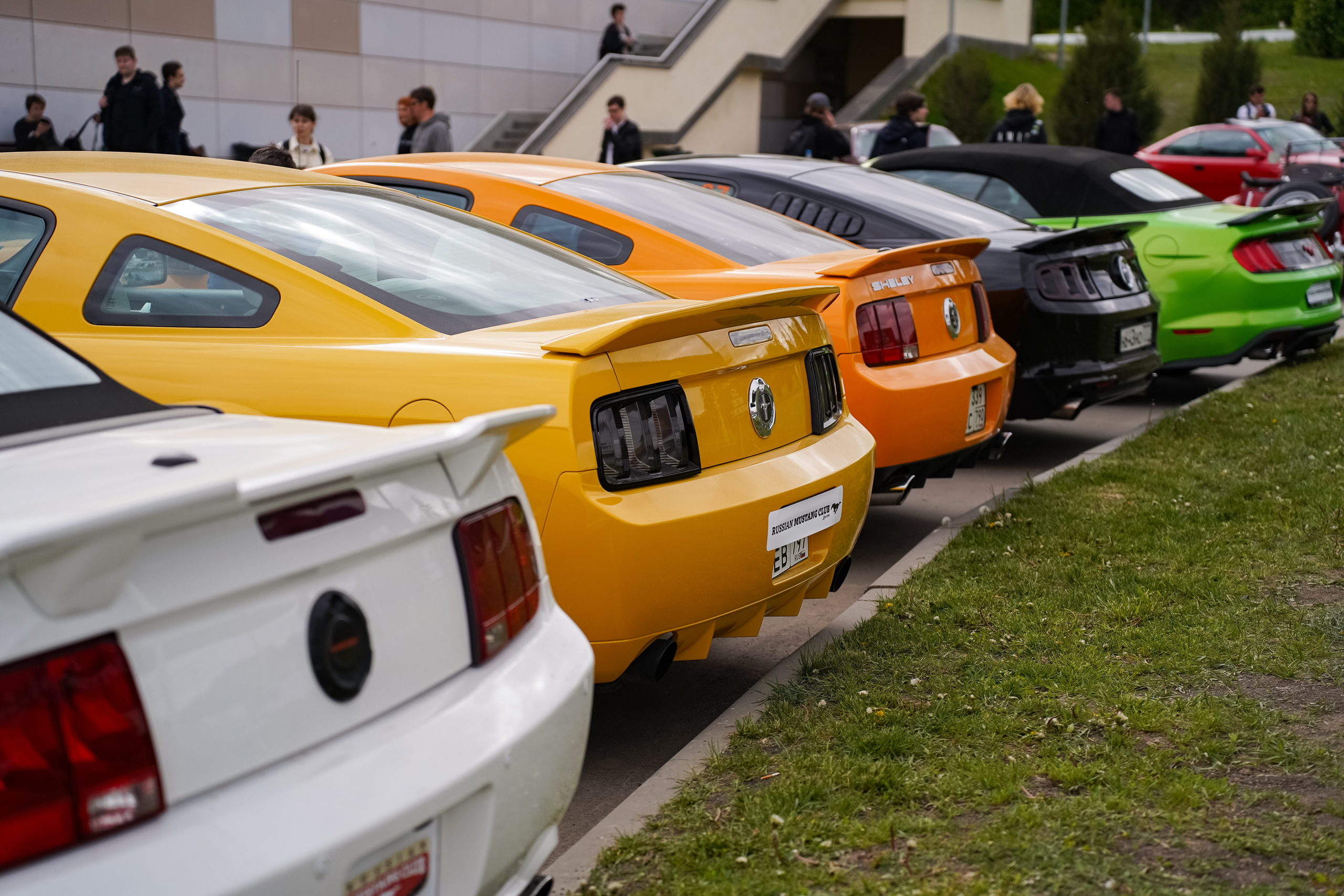 Автовыходные на Гребном канале 2023. Фотограф в Москве Ксения Насокина