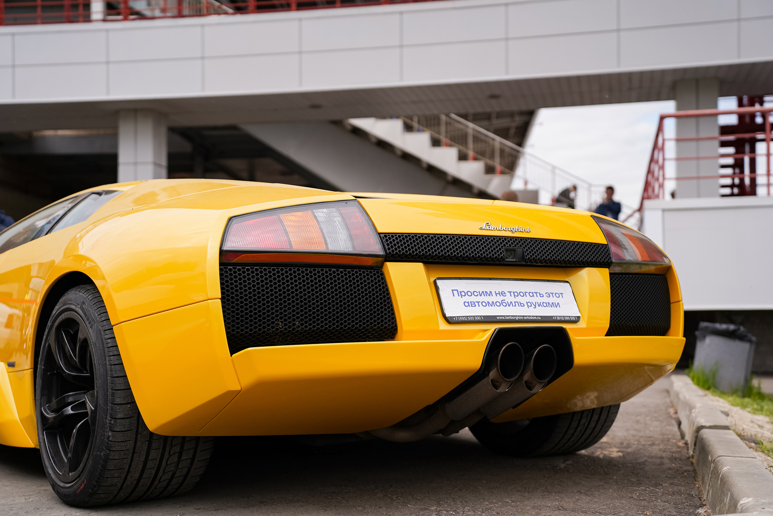 Автовыходные на Гребном канале 2023. Фотограф в Москве Ксения Насокина