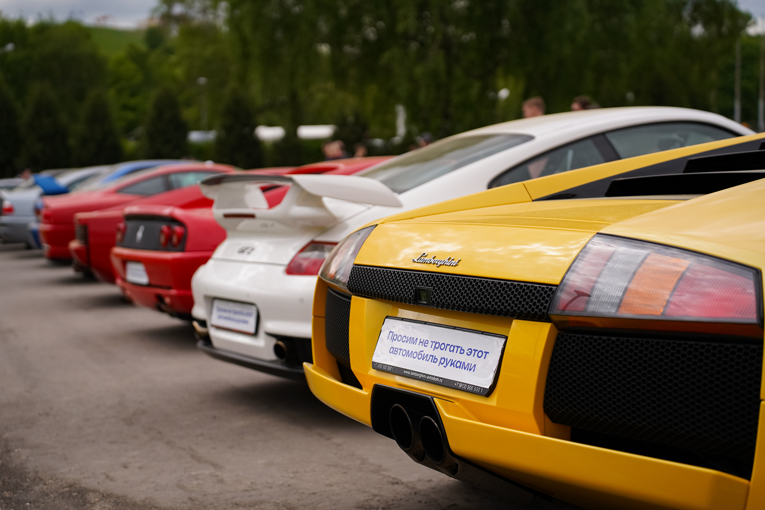 Автовыходные на Гребном канале 2023. Фотограф в Москве Ксения Насокина