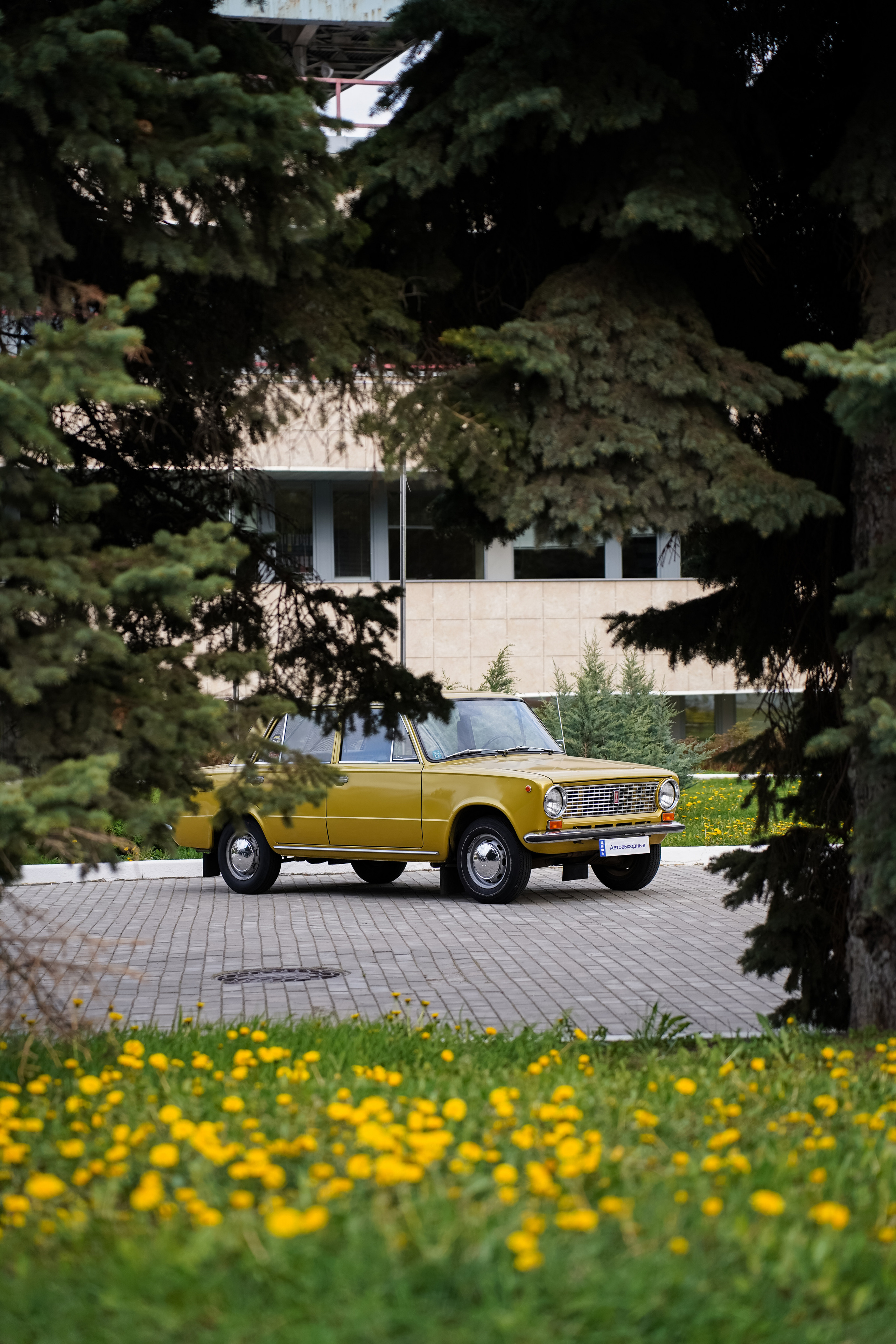 Автовыходные на Гребном канале 2023. Фотограф в Москве Ксения Насокина