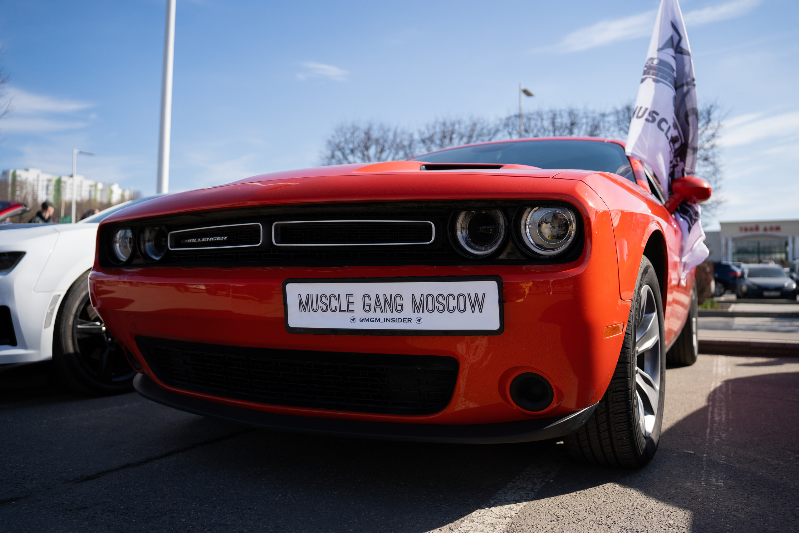 MadBuckets 2023. Фотограф в Москве Ксения Насокина