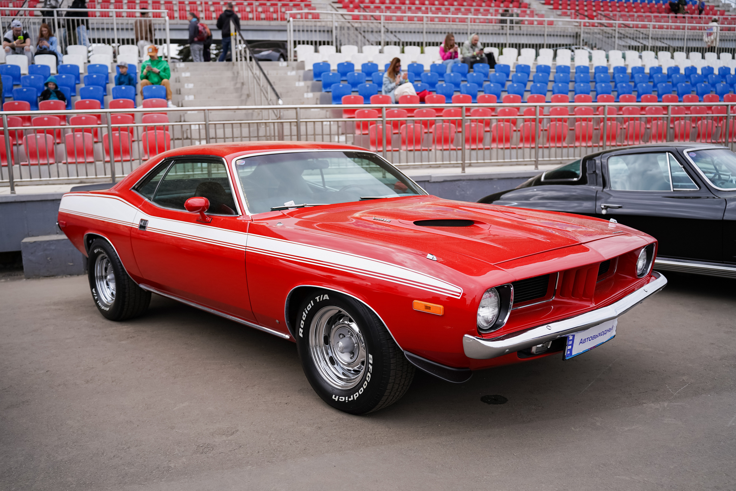 Автовыходные на Гребном канале 2023. Фотограф в Москве Ксения Насокина