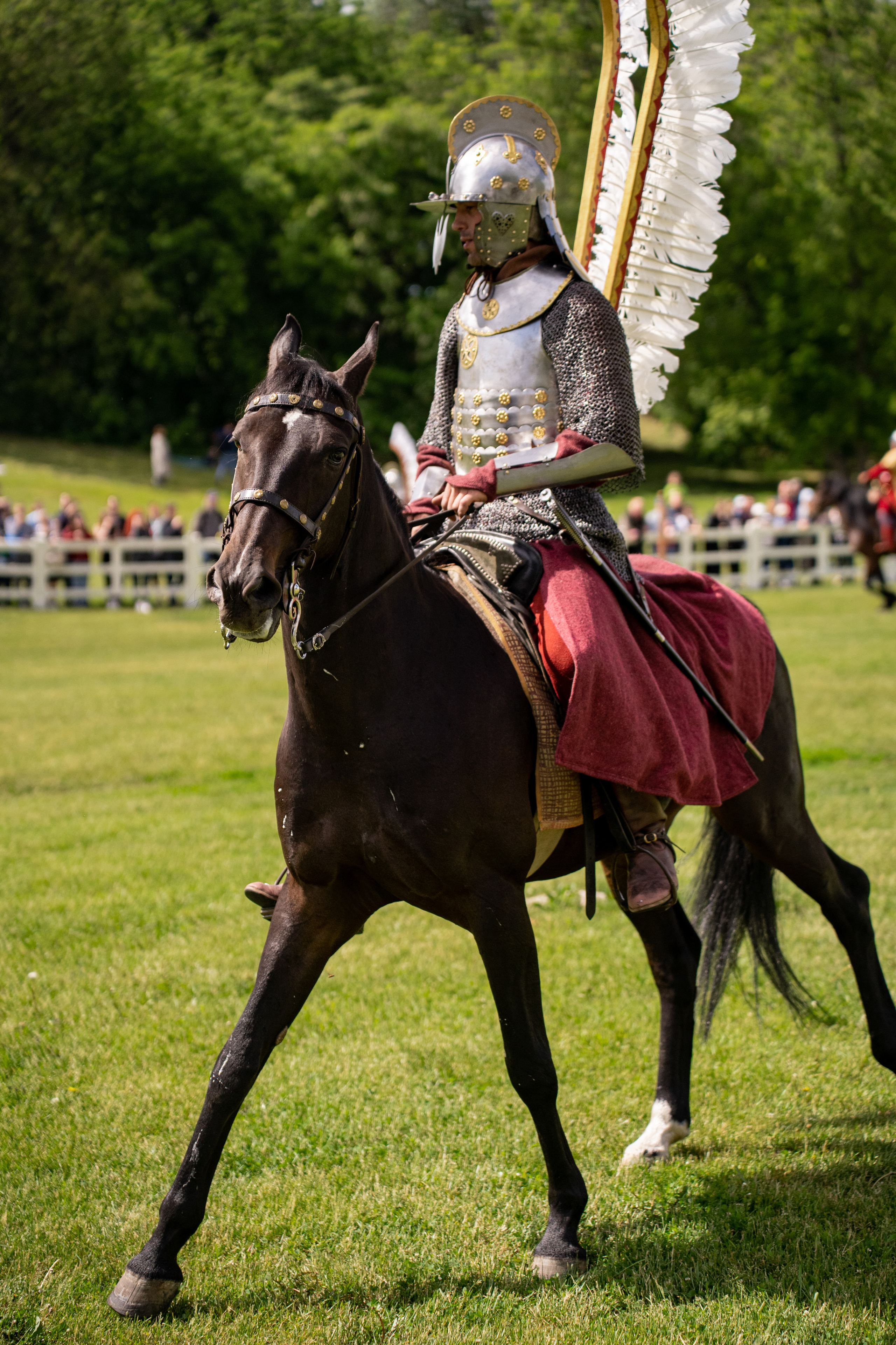 Фотографии фестиваль «Времена и эпохи» 10 июня 2023. Музей-заповедник «Коломенское», фотограф Ксения Насокина. Древняя Русь, Российская Империя, история, исторический фестиваль, реконструкторы, историческая реконструкция, 1654-1667 гг. Русско-польская война, XVII век, Запорожская Сечь, Речь Посполитая, быт царской России, стрелецкий полк, крылатые гусары, пикинёры, реконструкция сражения.