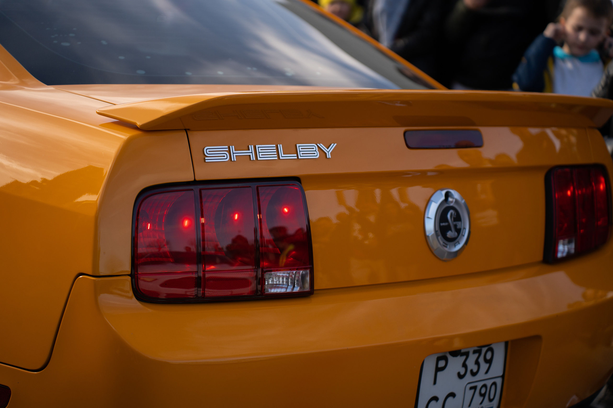 MadBuckets 2023. Фотограф в Москве Ксения Насокина