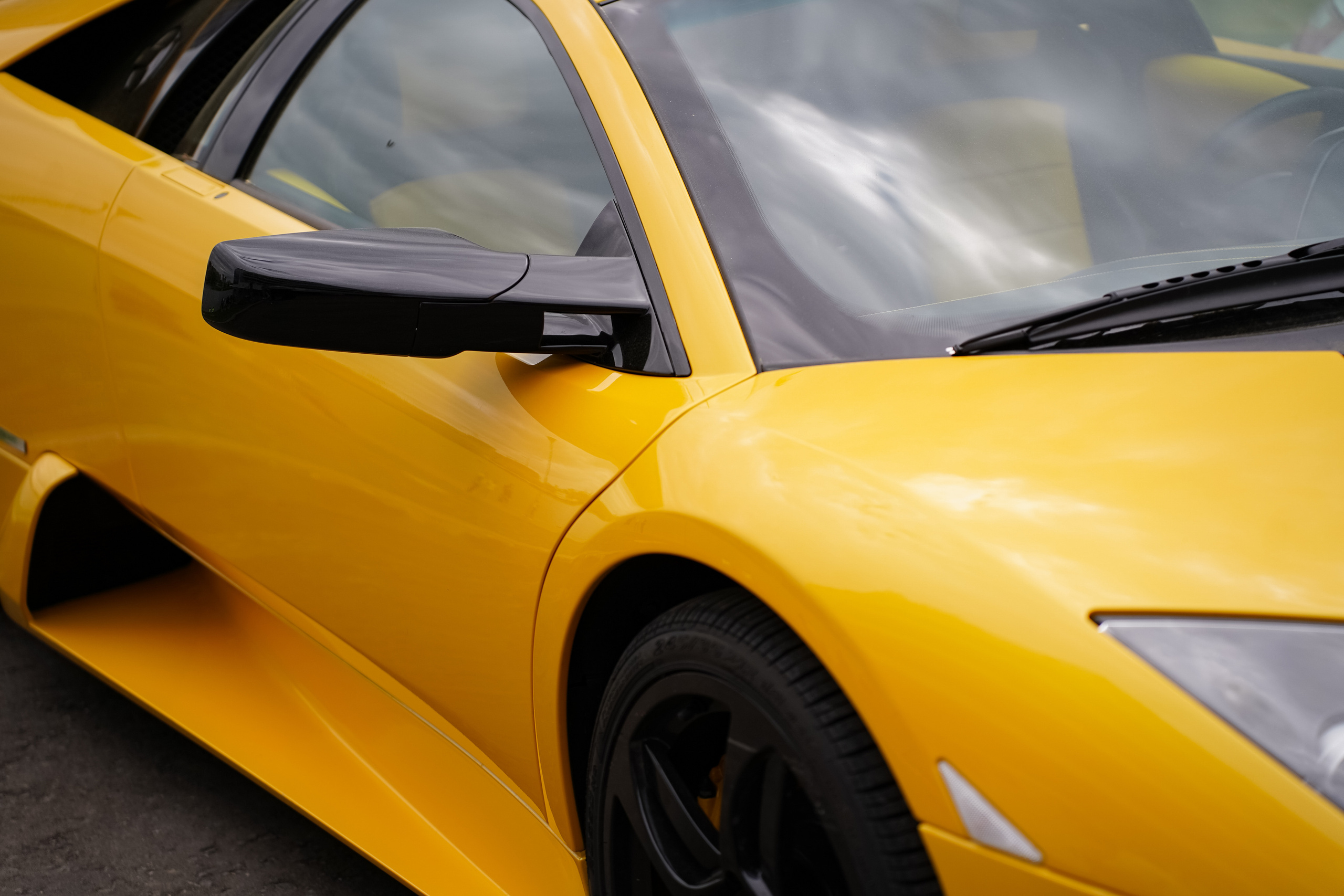 Автовыходные на Гребном канале 2023. Фотограф в Москве Ксения Насокина