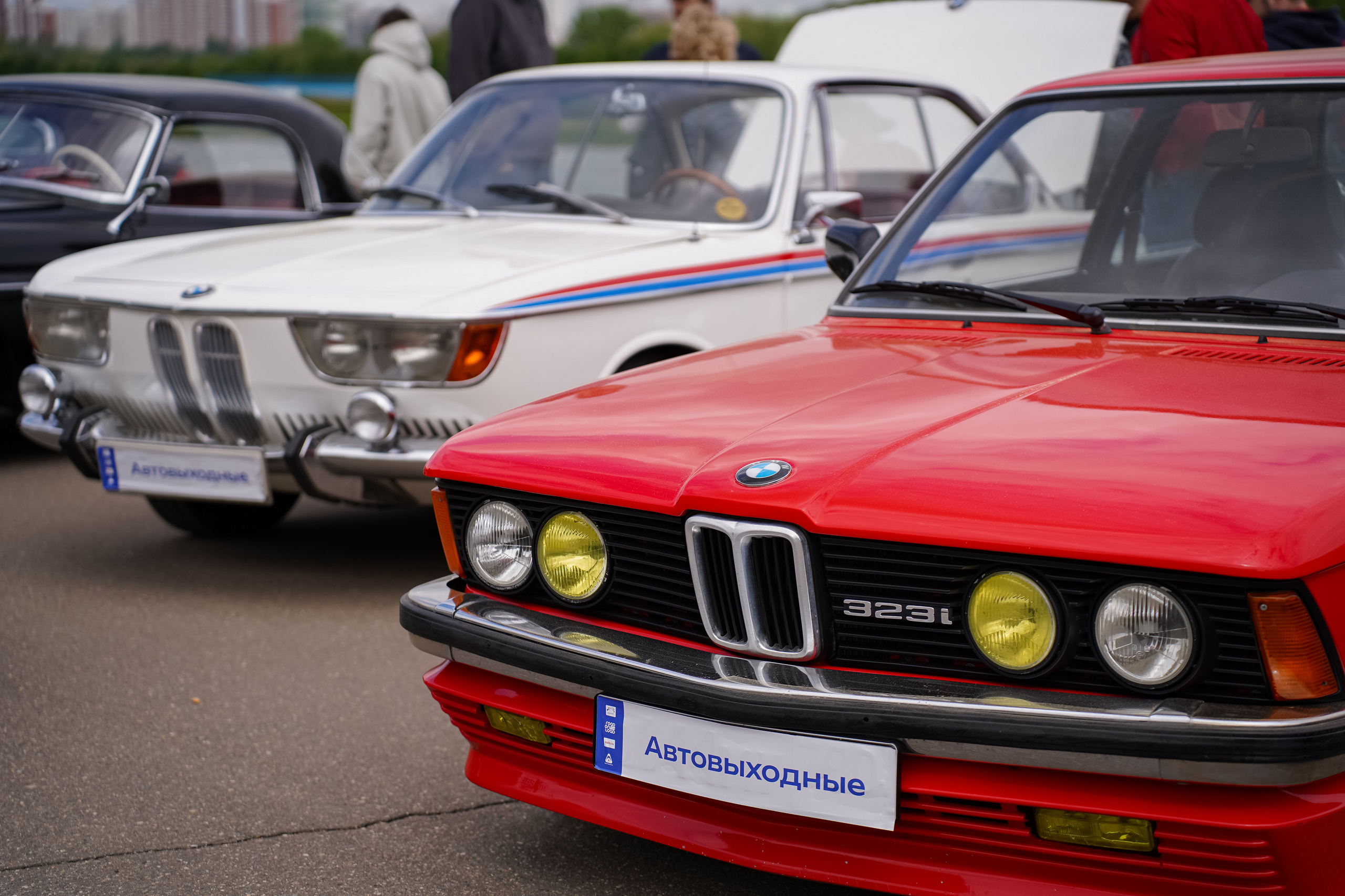 Автовыходные на Гребном канале 2023. Фотограф в Москве Ксения Насокина