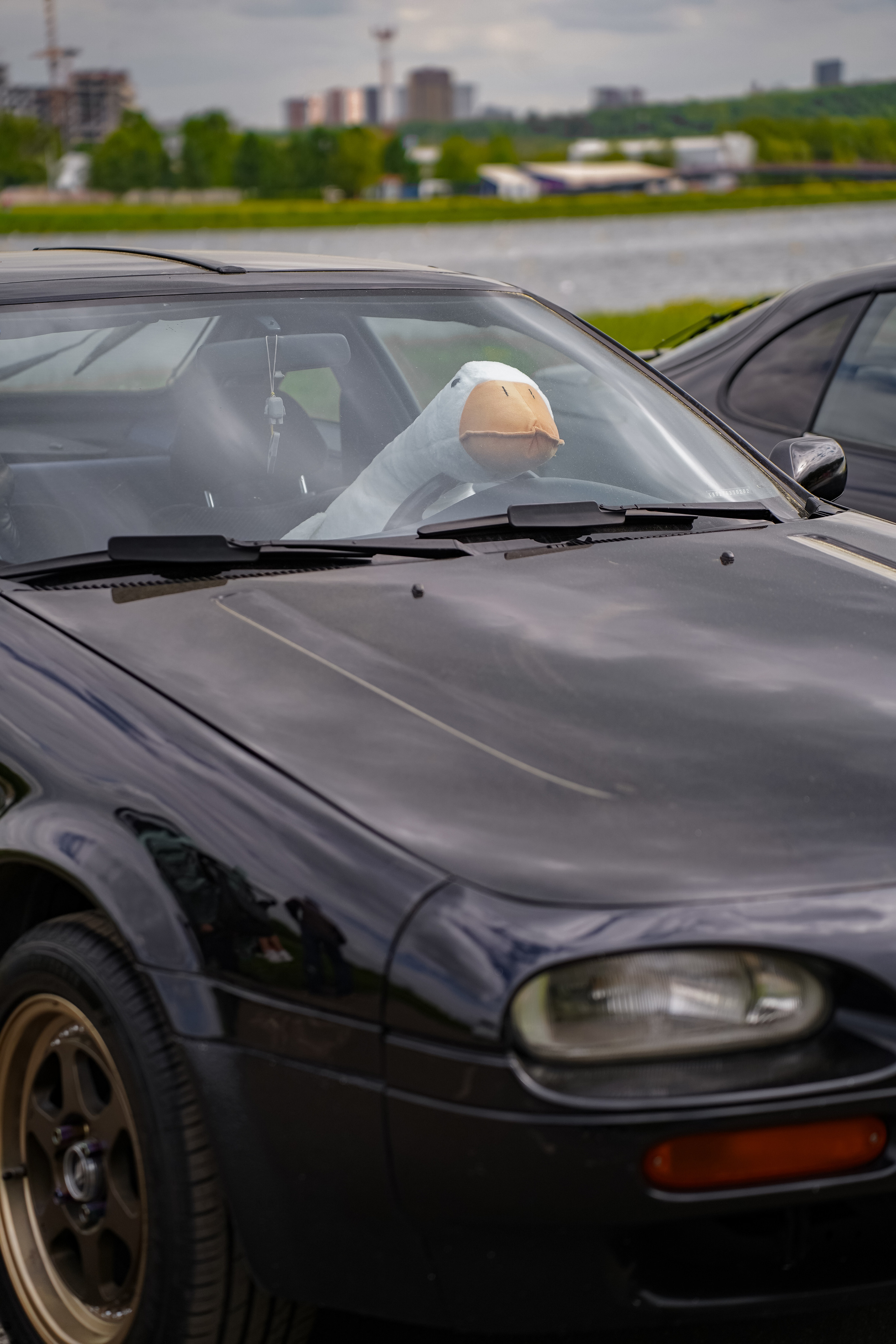 Автовыходные на Гребном канале 2023. Фотограф в Москве Ксения Насокина