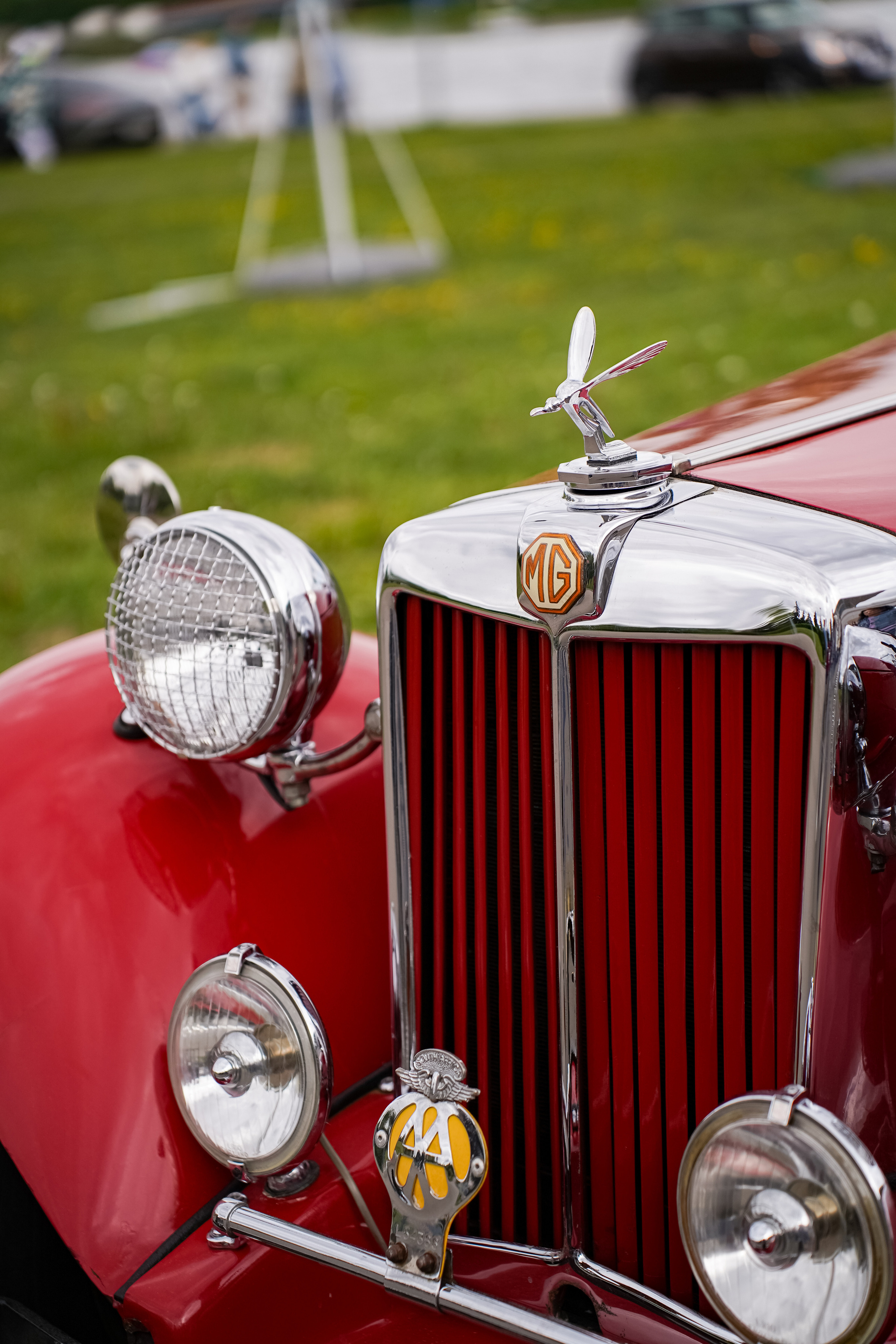 Автовыходные на Гребном канале 2023. Фотограф в Москве Ксения Насокина