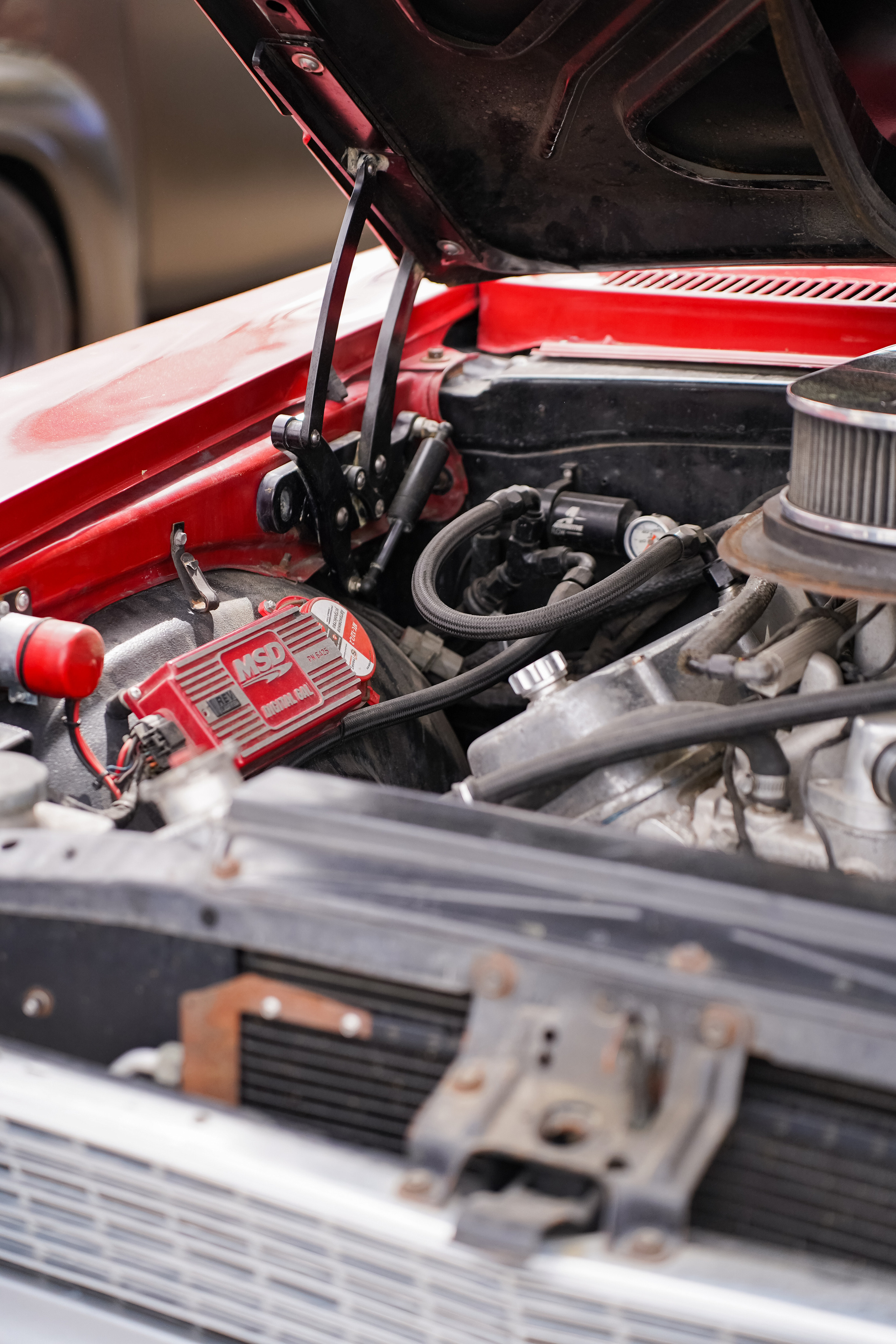 Автовыходные на Гребном канале 2023. Фотограф в Москве Ксения Насокина