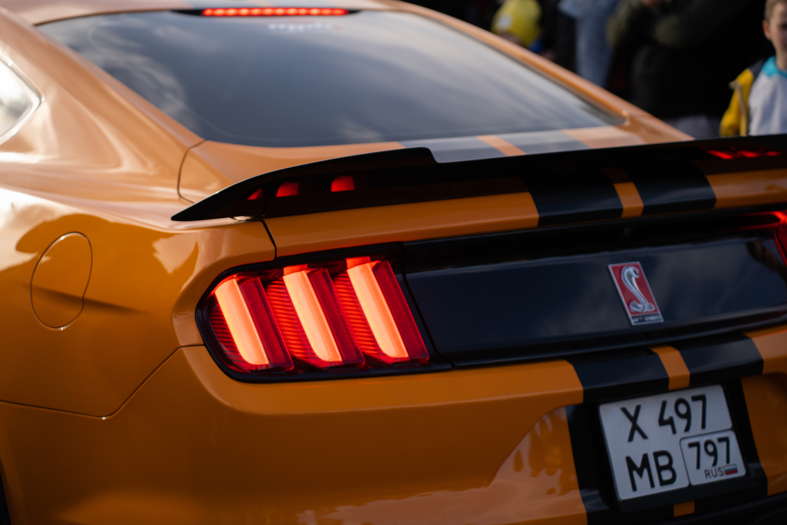 MadBuckets 2023. Фотограф в Москве Ксения Насокина