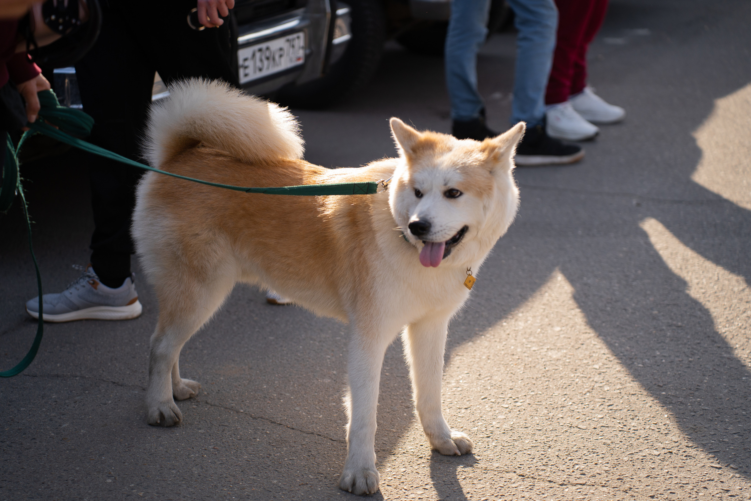 MadBuckets 2023. Фотограф в Москве Ксения Насокина