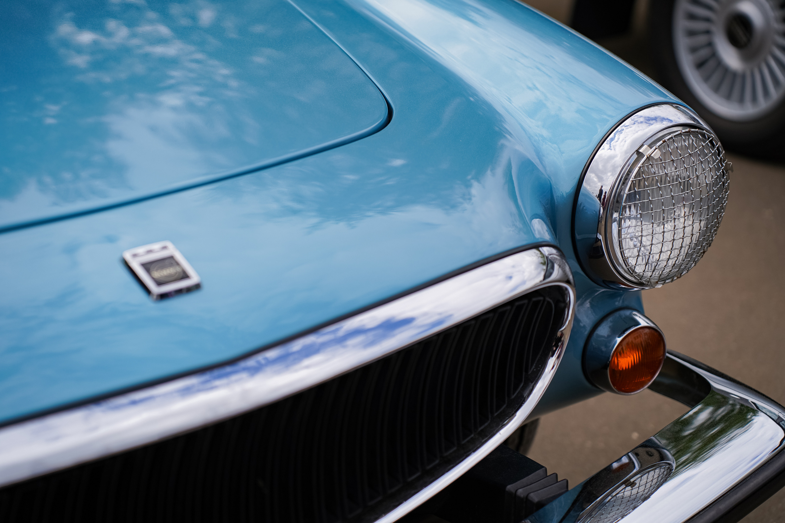 Автовыходные на Гребном канале 2023. Фотограф в Москве Ксения Насокина