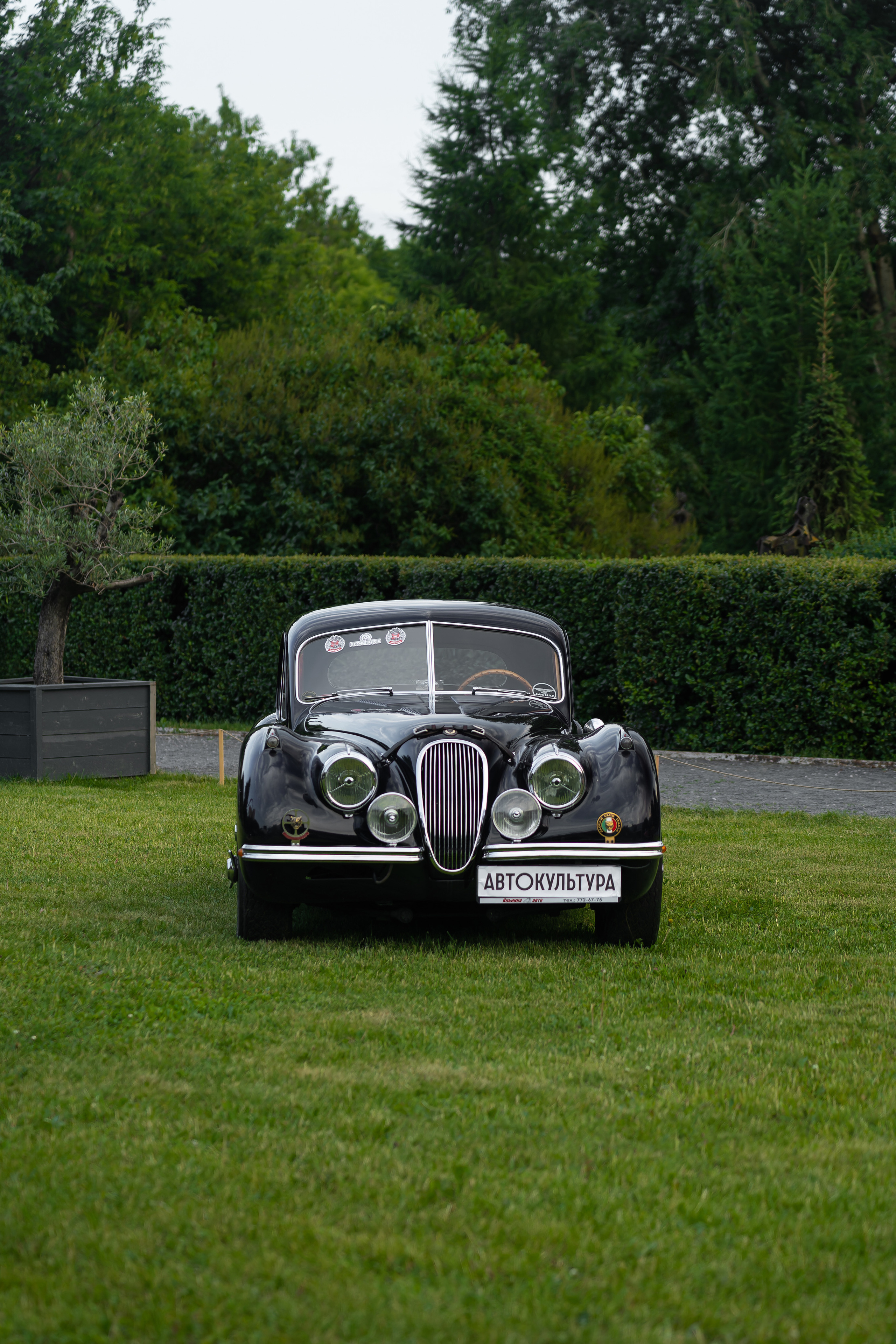 Авто фестиваль Автокультура 2023. Фотограф в Москве Ксения Насокина