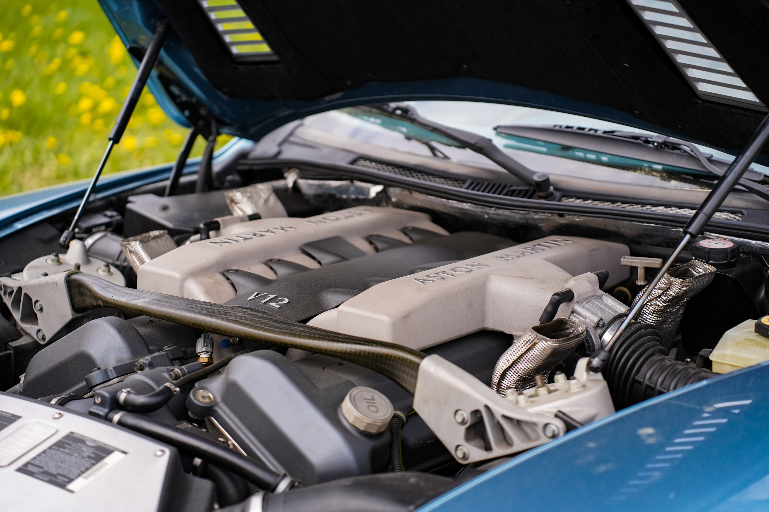 Автовыходные на Гребном канале 2023. Фотограф в Москве Ксения Насокина