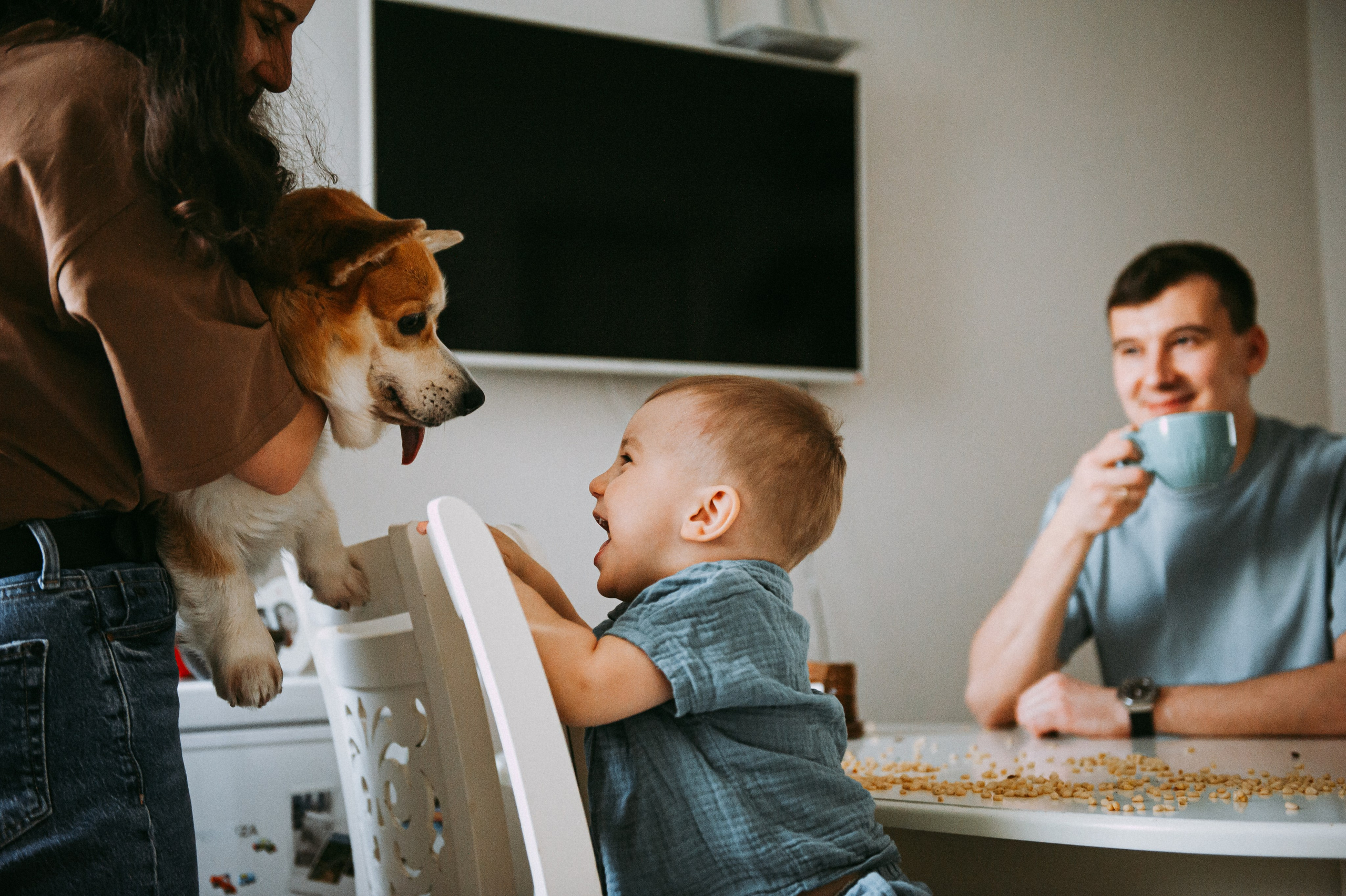 ребенок с собакой