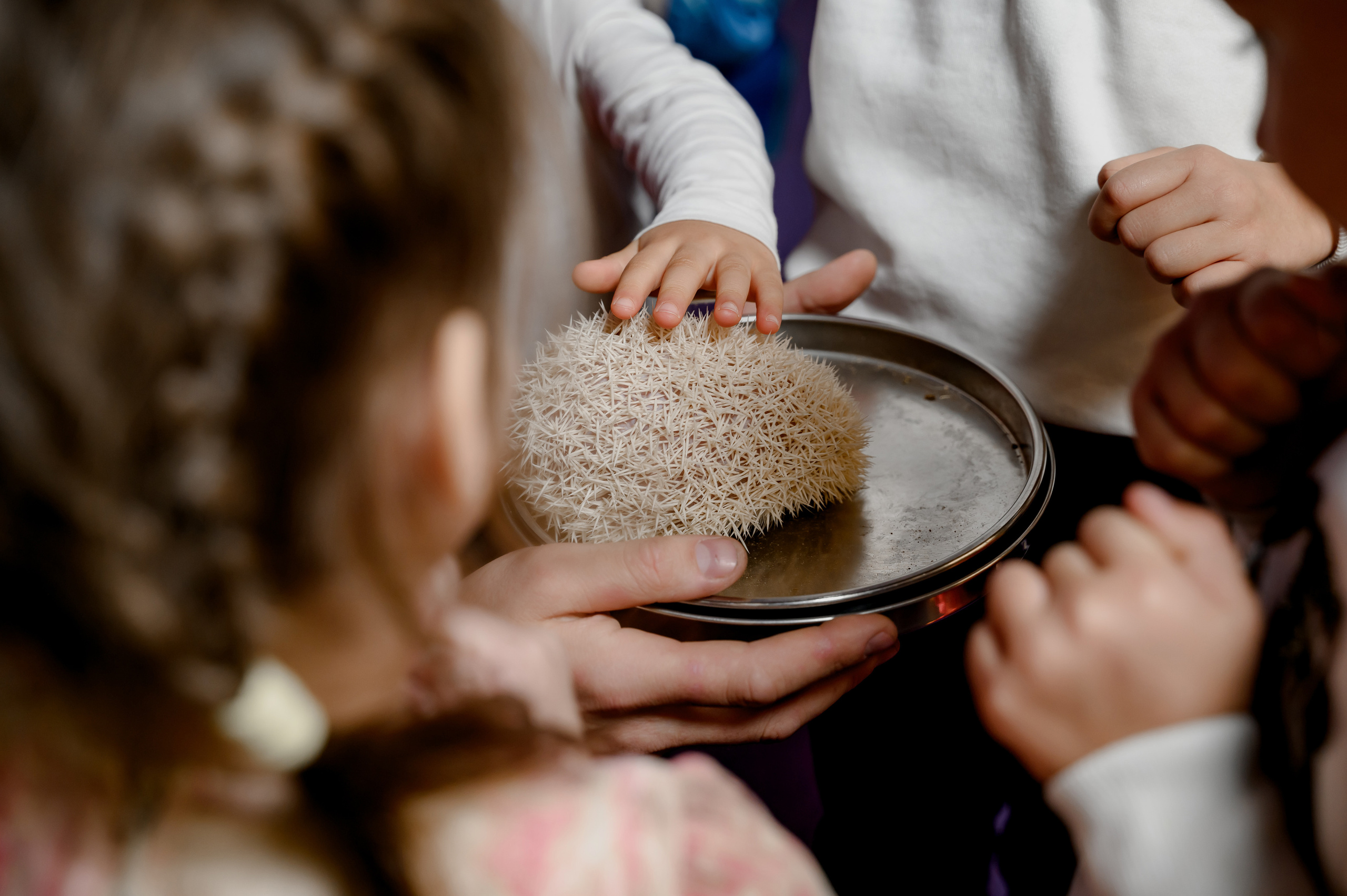 Фотограф в Сочи. Свадебный и репортажный фотограф в Сочи и Краснодаре Сергей Грин