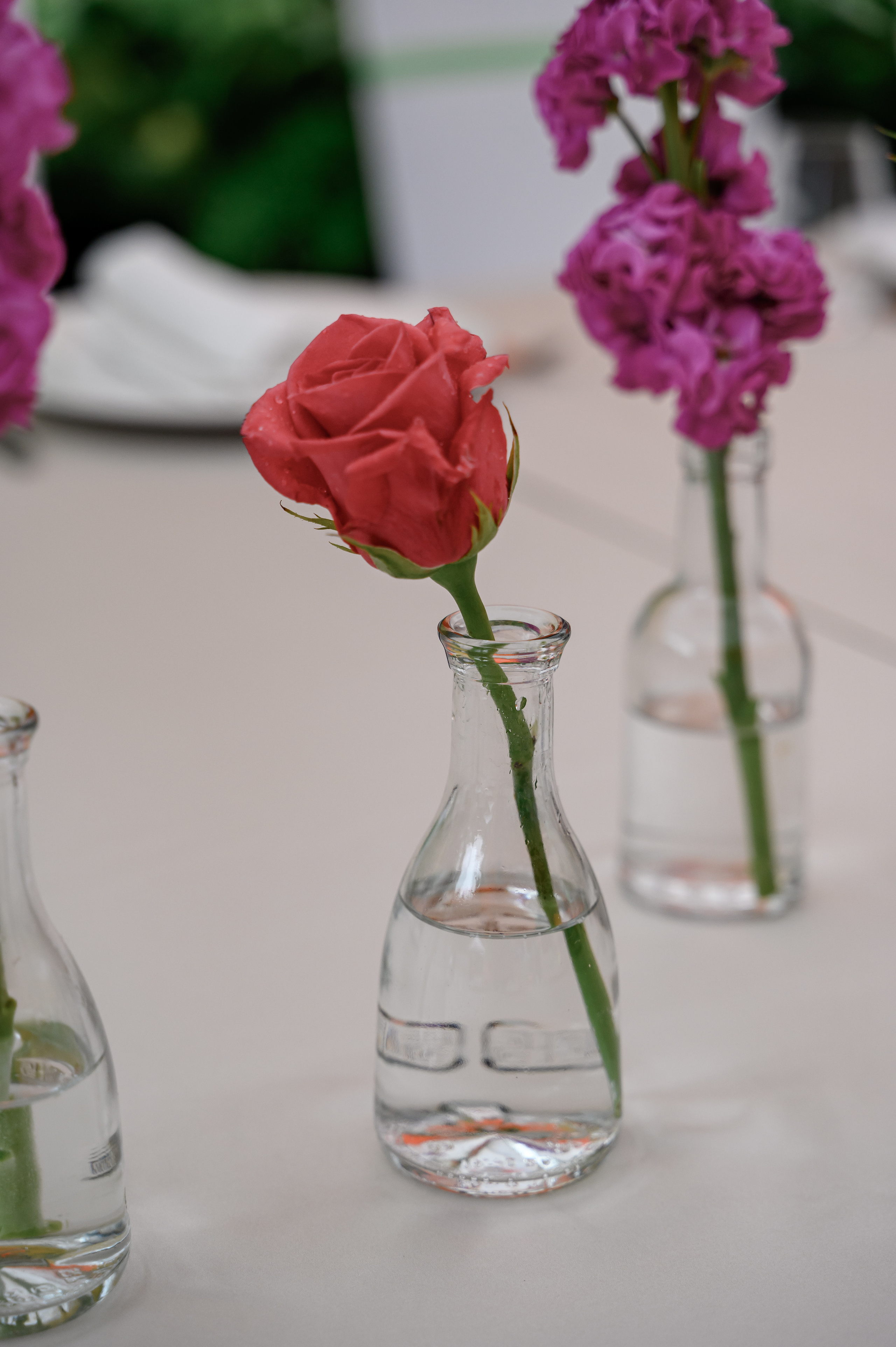 Фотограф в Сочи. Свадебный и репортажный фотограф в Сочи и Краснодаре Сергей Грин