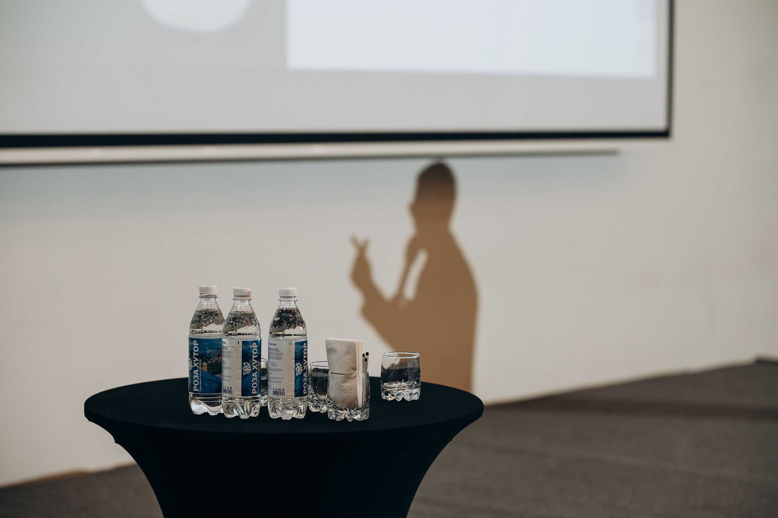 Конференция DAICHI. Свадебный и репортажный фотограф в Сочи и Краснодаре Сергей Грин