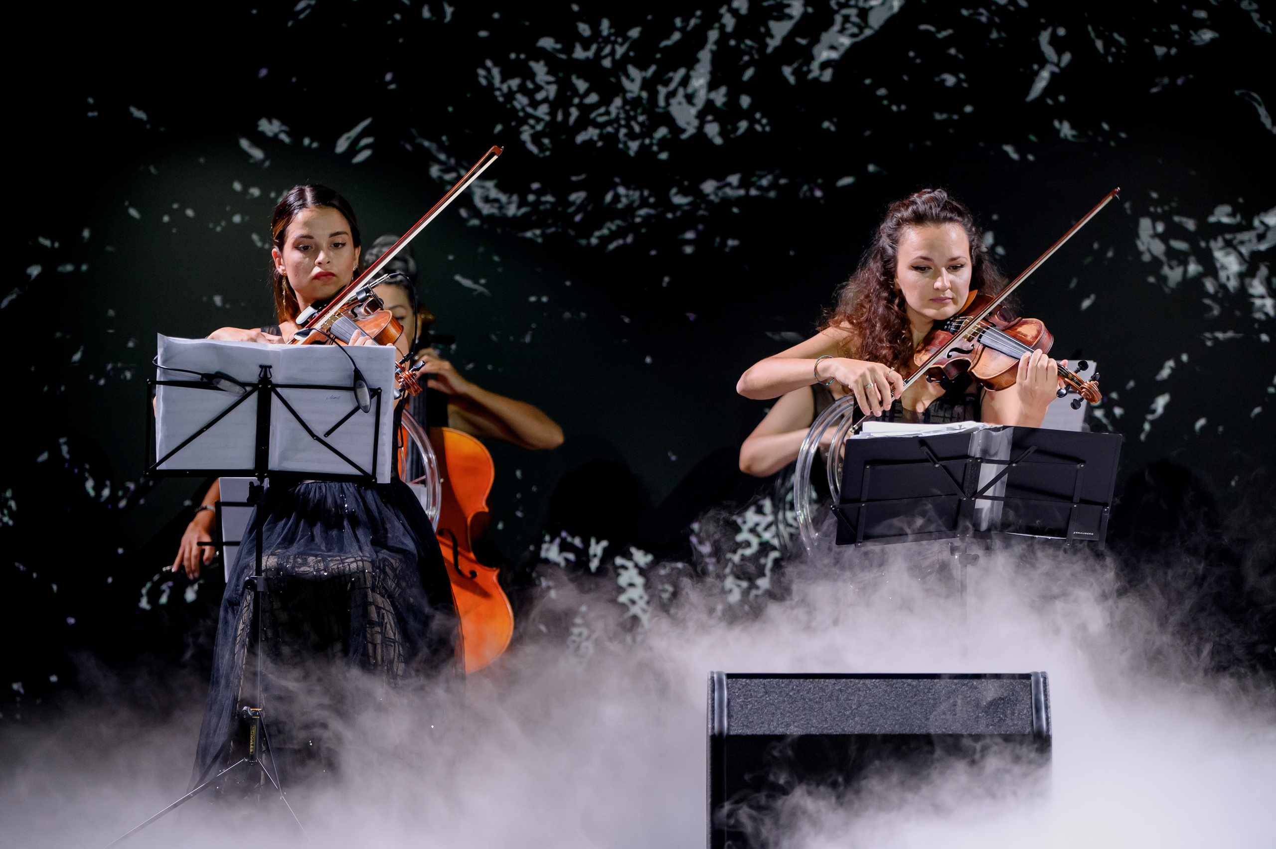 Livingston. Свадебный и репортажный фотограф в Сочи и Краснодаре Сергей Грин