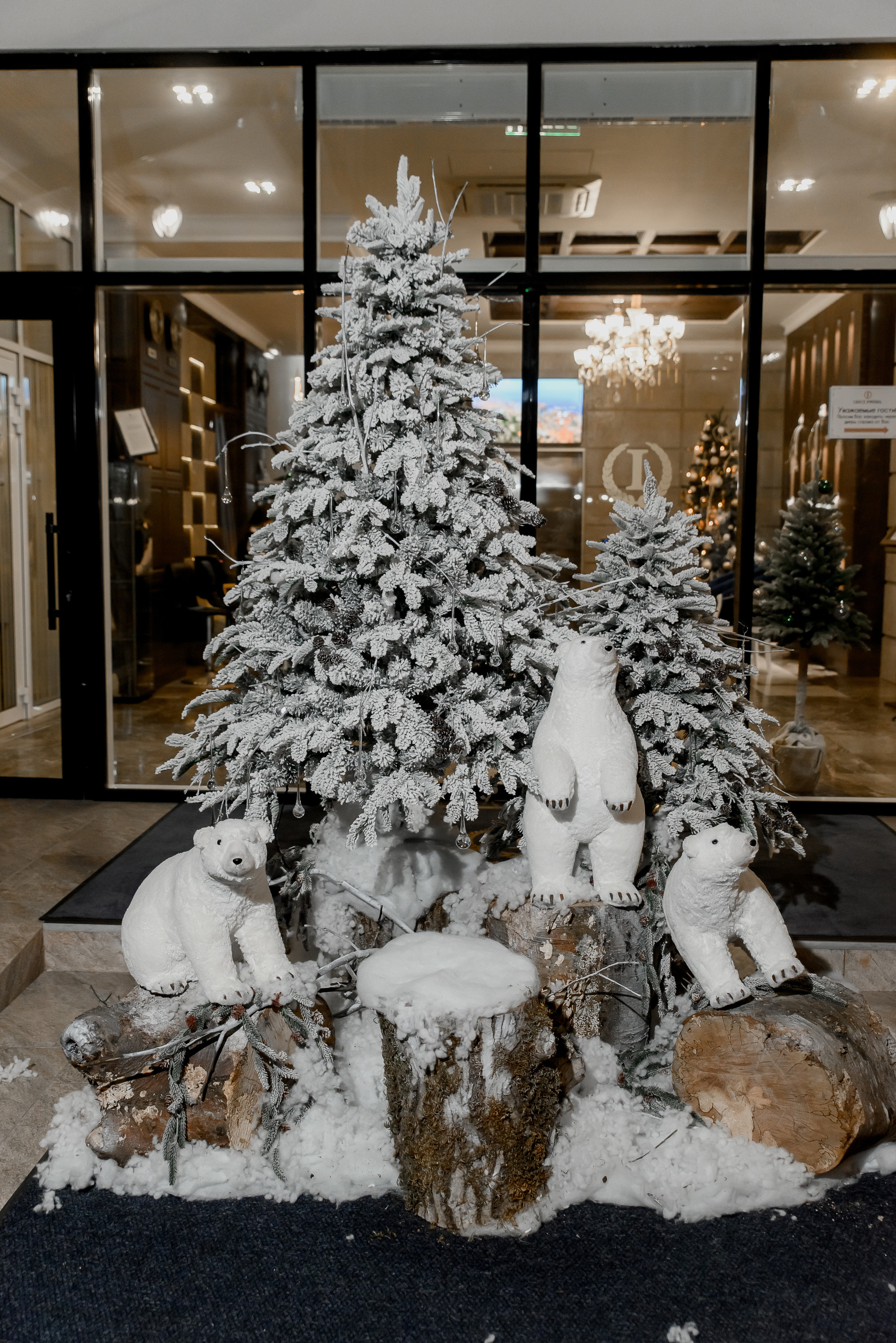 Репортажный фотограф. Свадебный и репортажный фотограф в Сочи и Краснодаре Сергей Грин