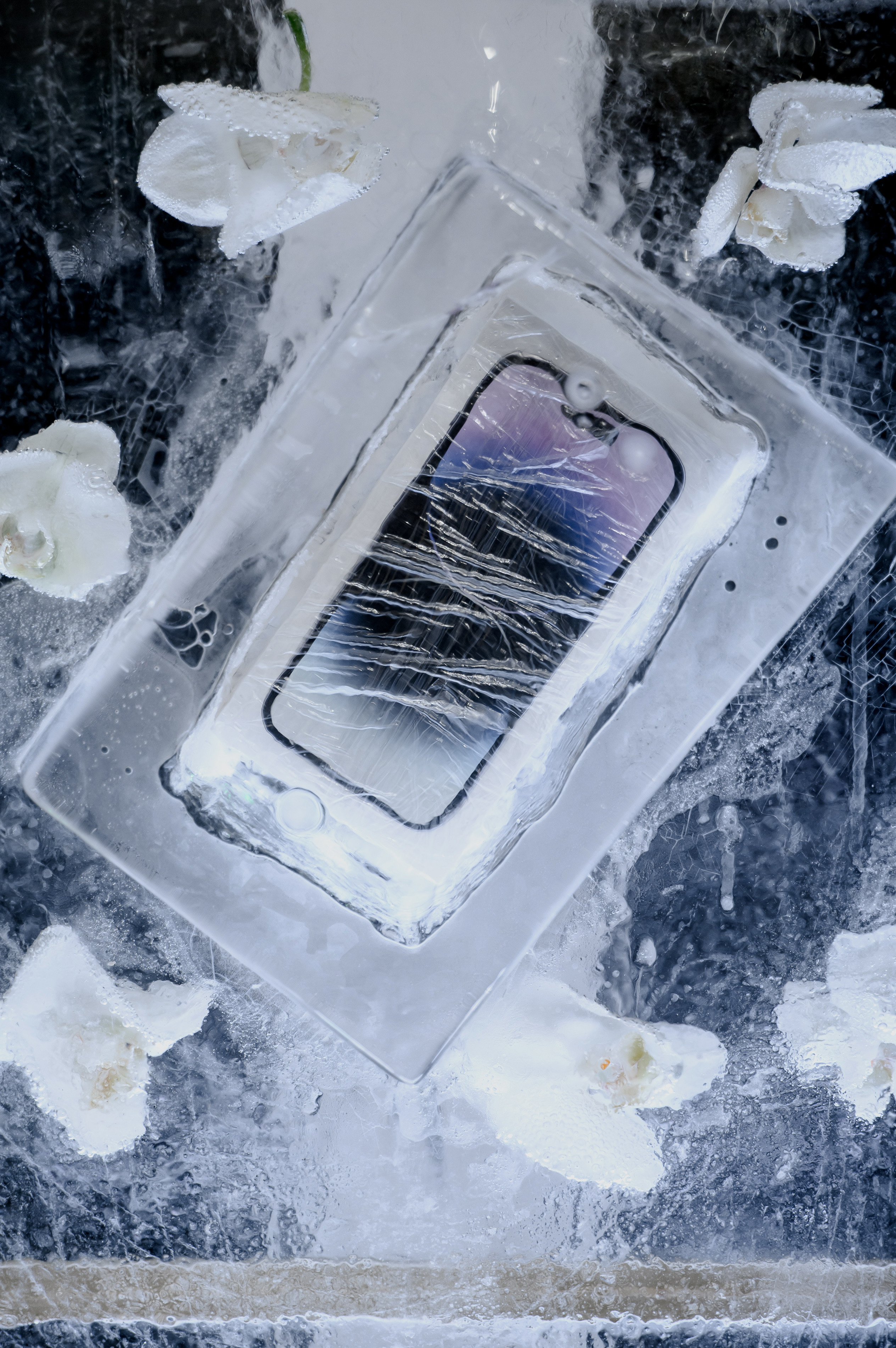 Репортажный фотограф в Сочи. Свадебный и репортажный фотограф в Сочи и Краснодаре Сергей Грин