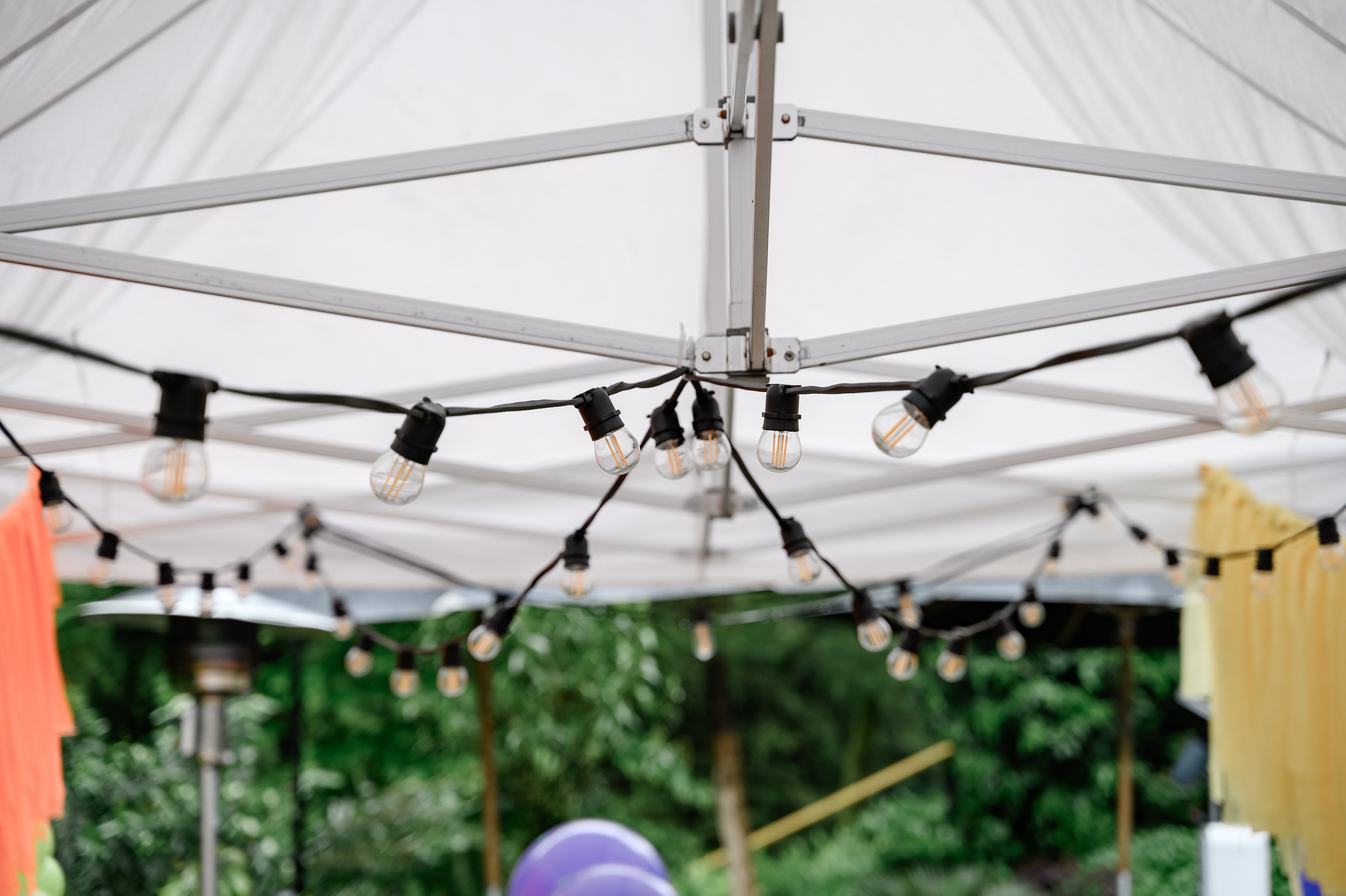 Фотограф в Сочи. Свадебный и репортажный фотограф в Сочи и Краснодаре Сергей Грин