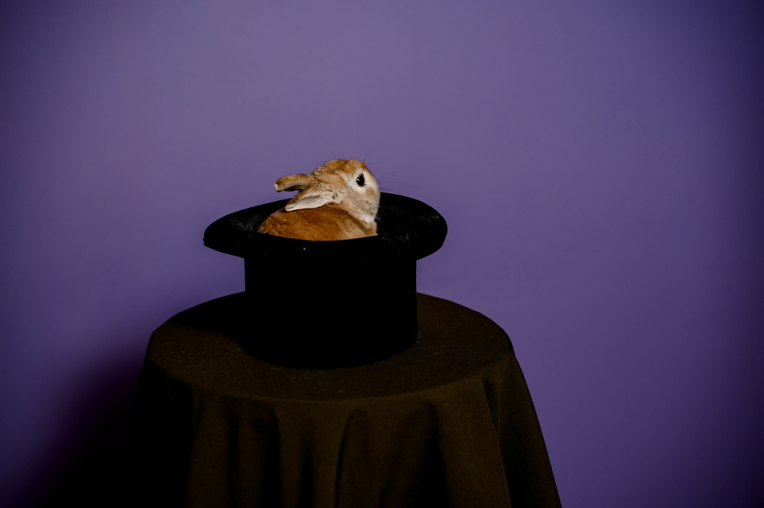 Фотограф в Сочи. Свадебный и репортажный фотограф в Сочи и Краснодаре Сергей Грин