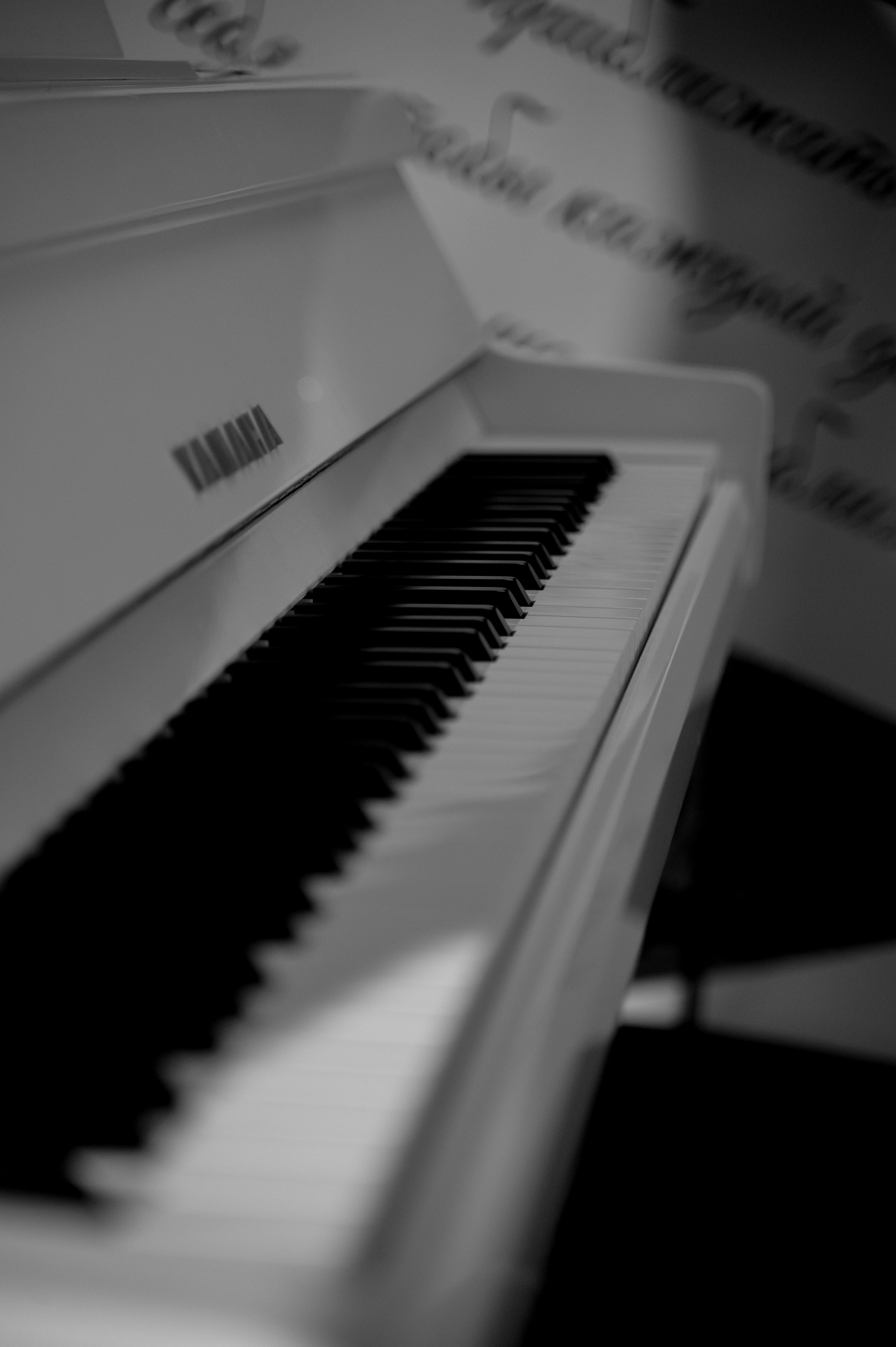 Livingston. Свадебный и репортажный фотограф в Сочи и Краснодаре Сергей Грин