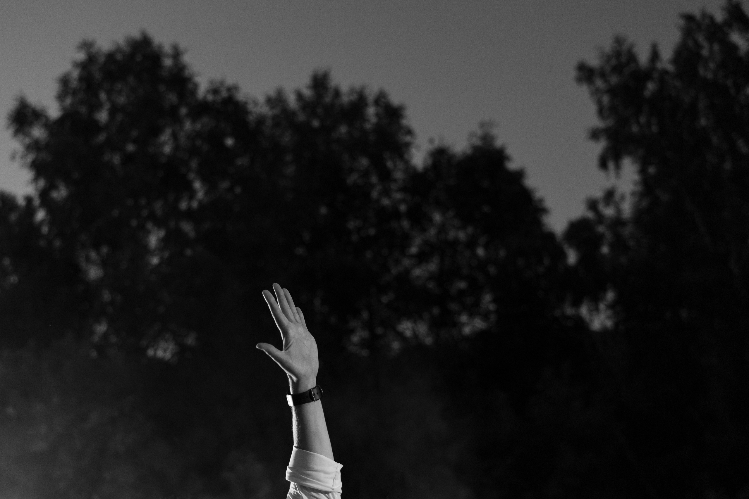 10.08.2023 Дмитрий и Виктория. Фотограф в Красноярске