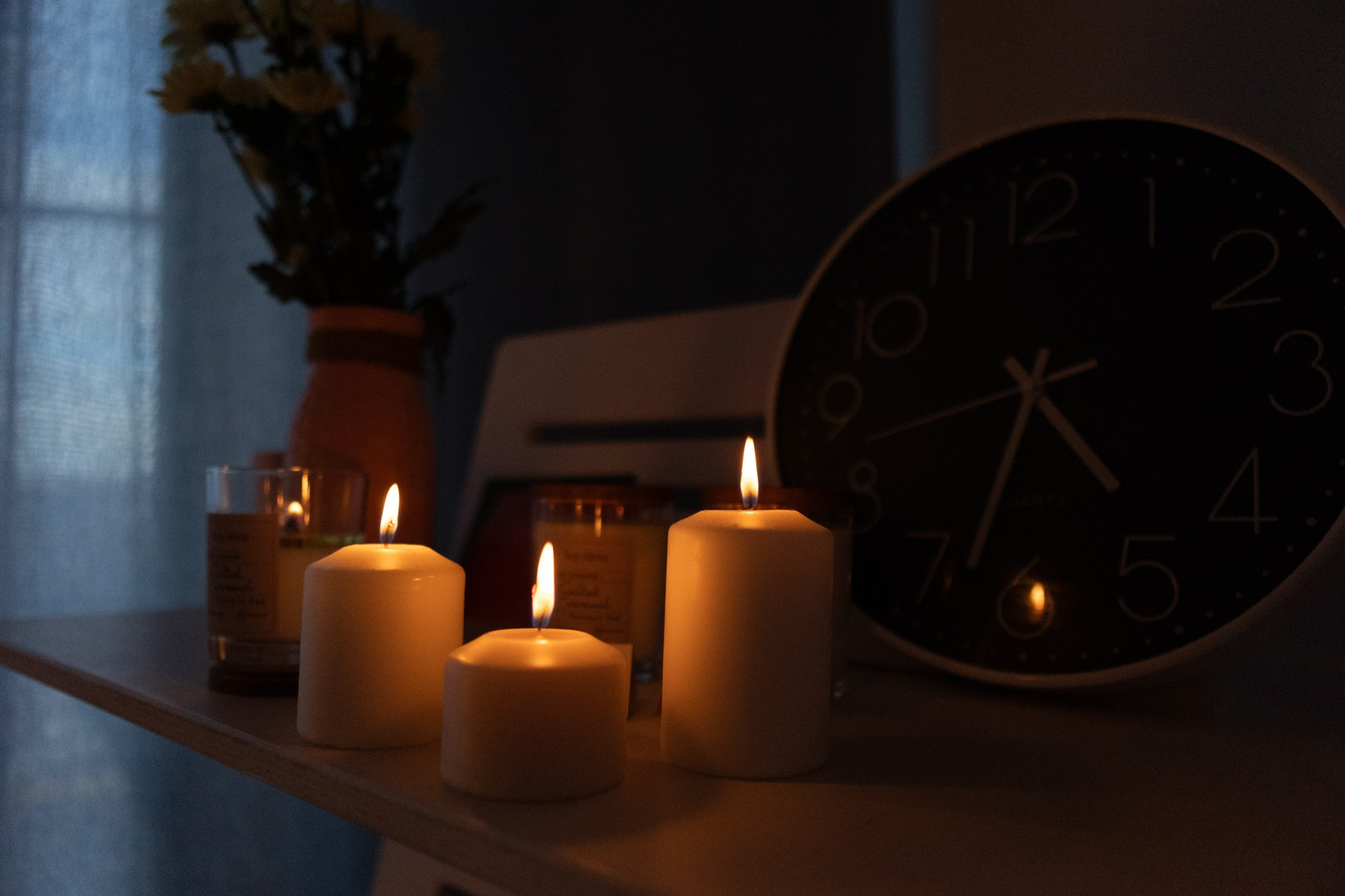 Контент-съёмка. Фотограф-анималист Полина Колкова | Москва