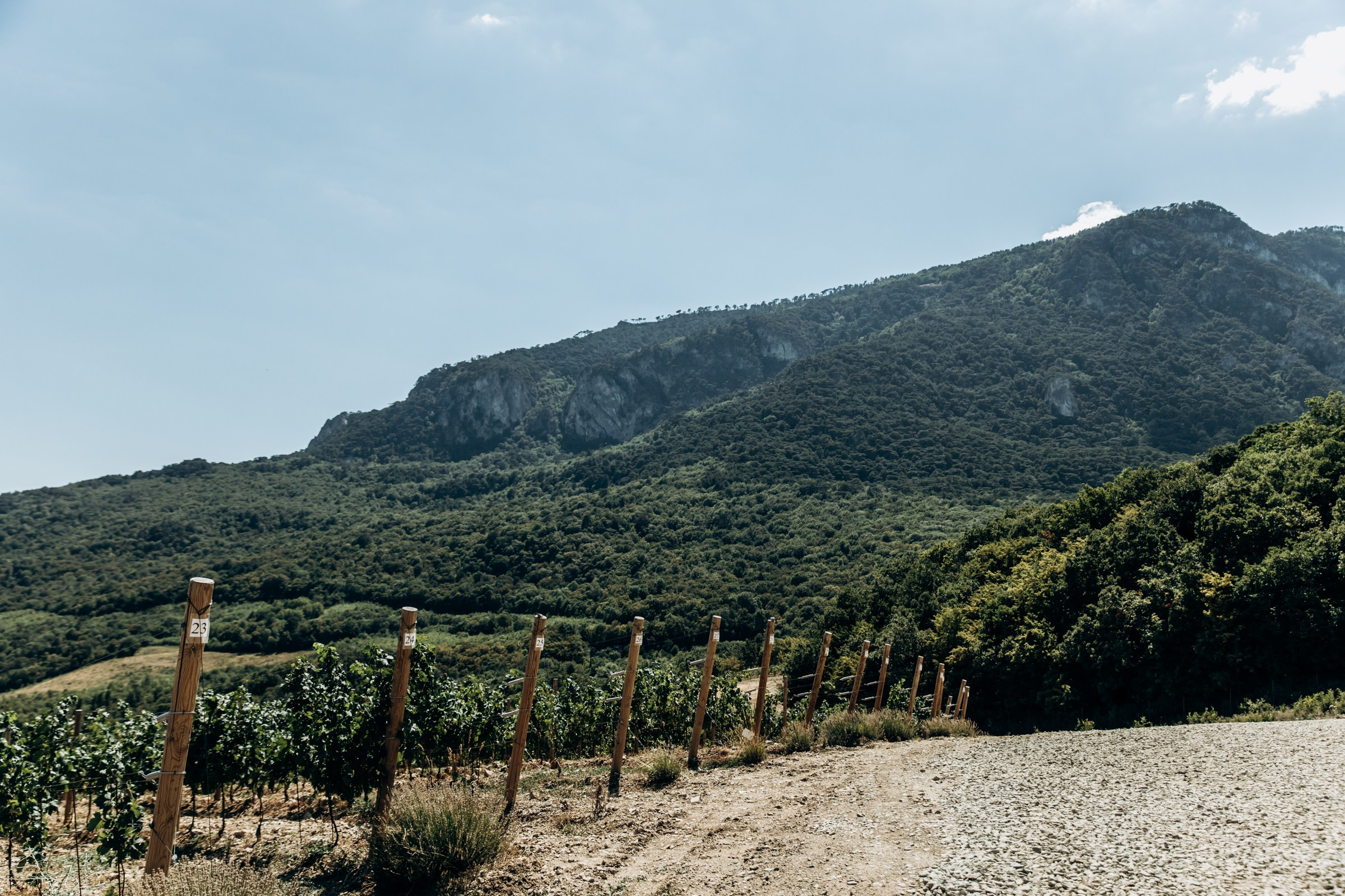 Юбилей, корпоративы, конференции. Фотограф в Крыму — Федор зайцев. Свадебная, семейная и портретная съёмка. Фотографии для контента, для бизнеса. Корпоративная съёмка