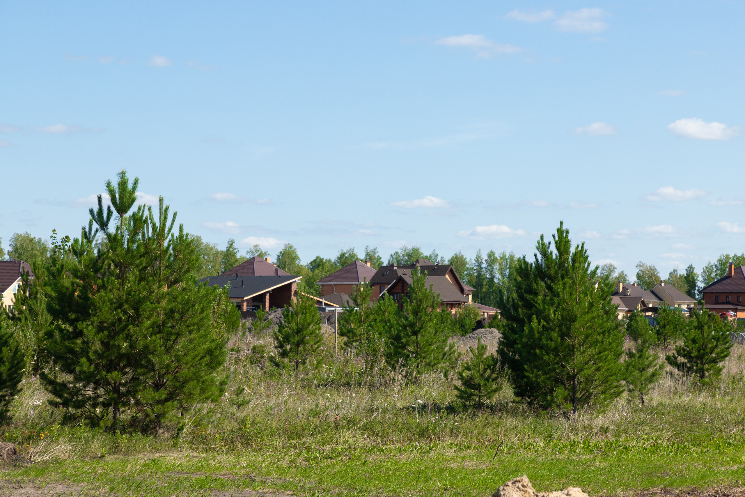 Зубарево Хиллс. Фотограф Денис Лесковский (Тюмень)