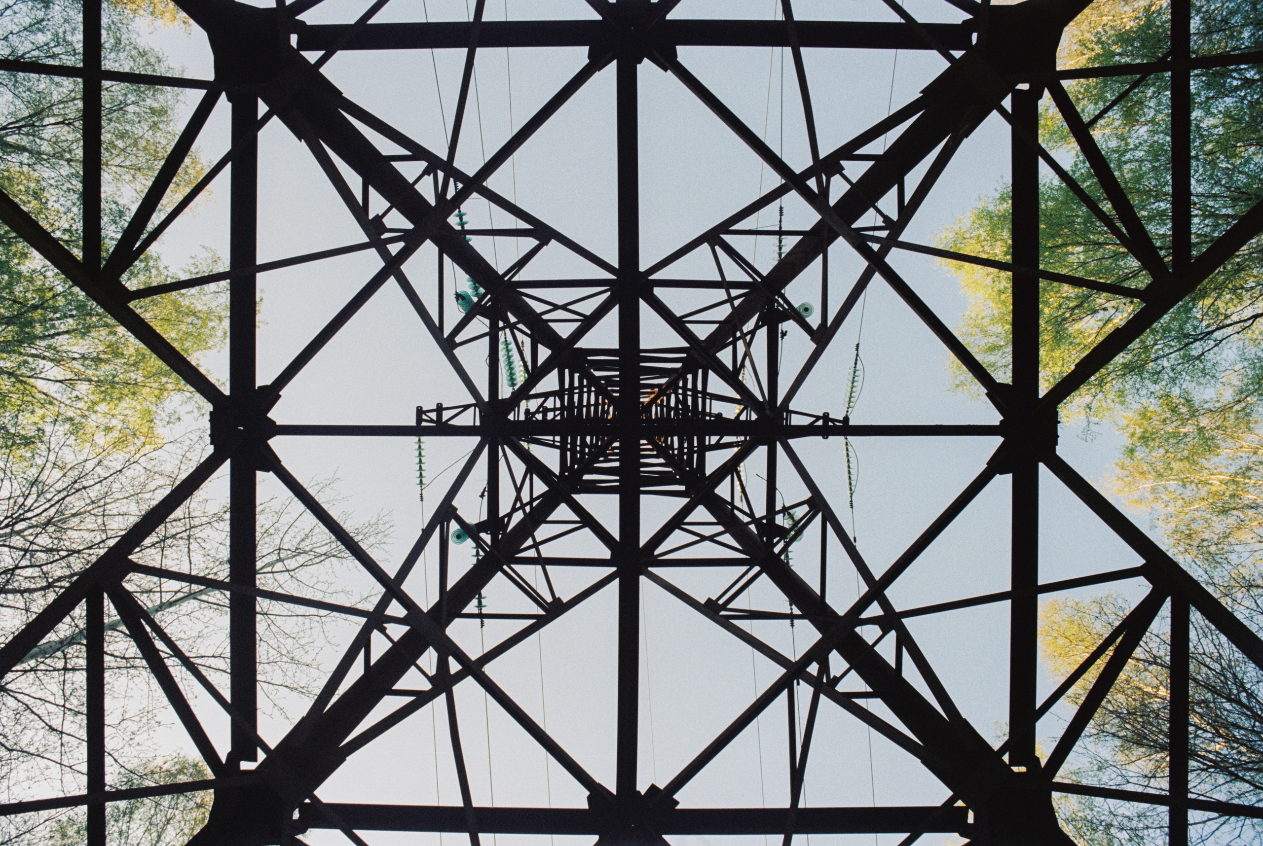 Плёночная весна 2025. Илья Михачёв Фотограф ПРО людей