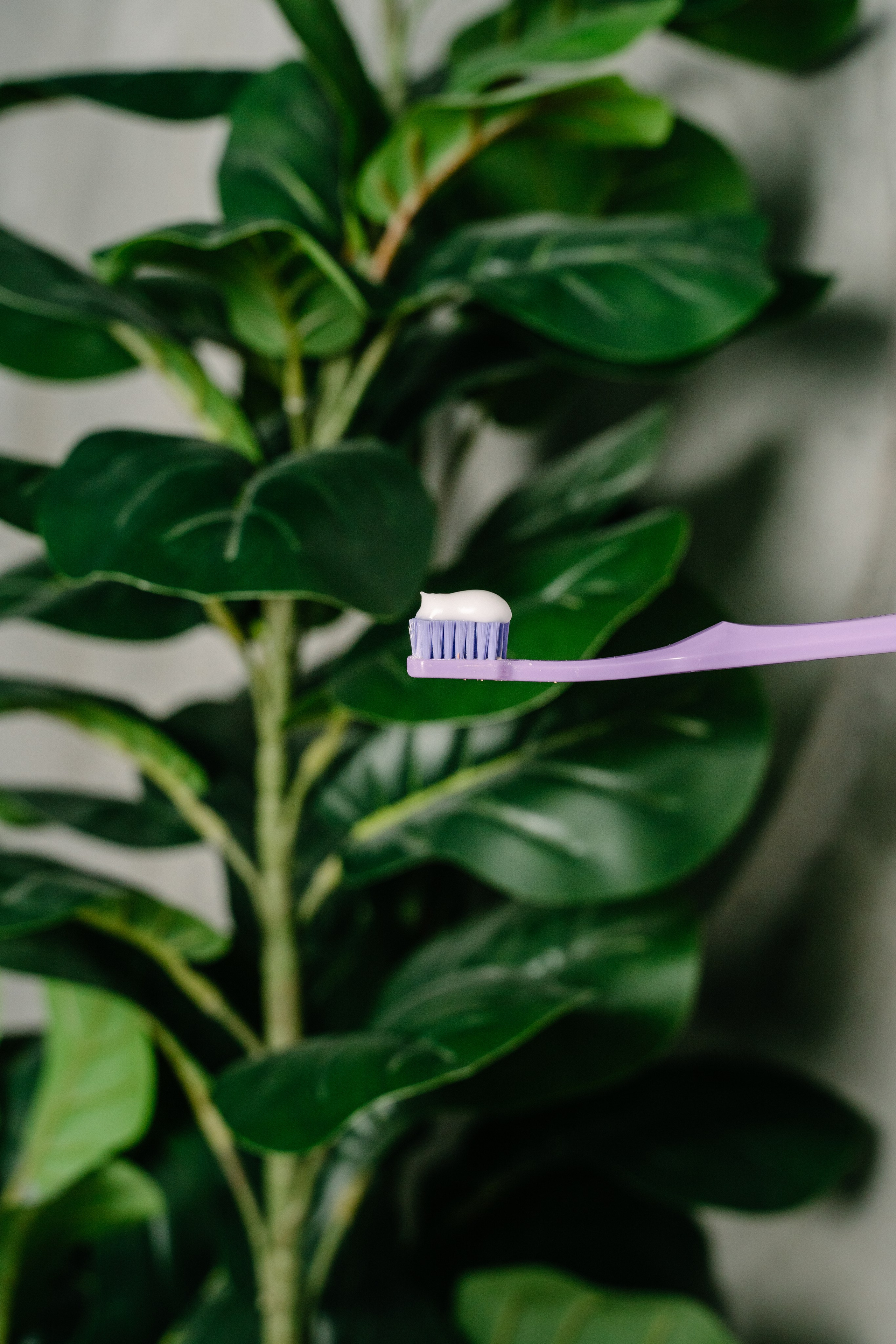 Контент стоматологу. Свадебный фотограф Юлия Копылова