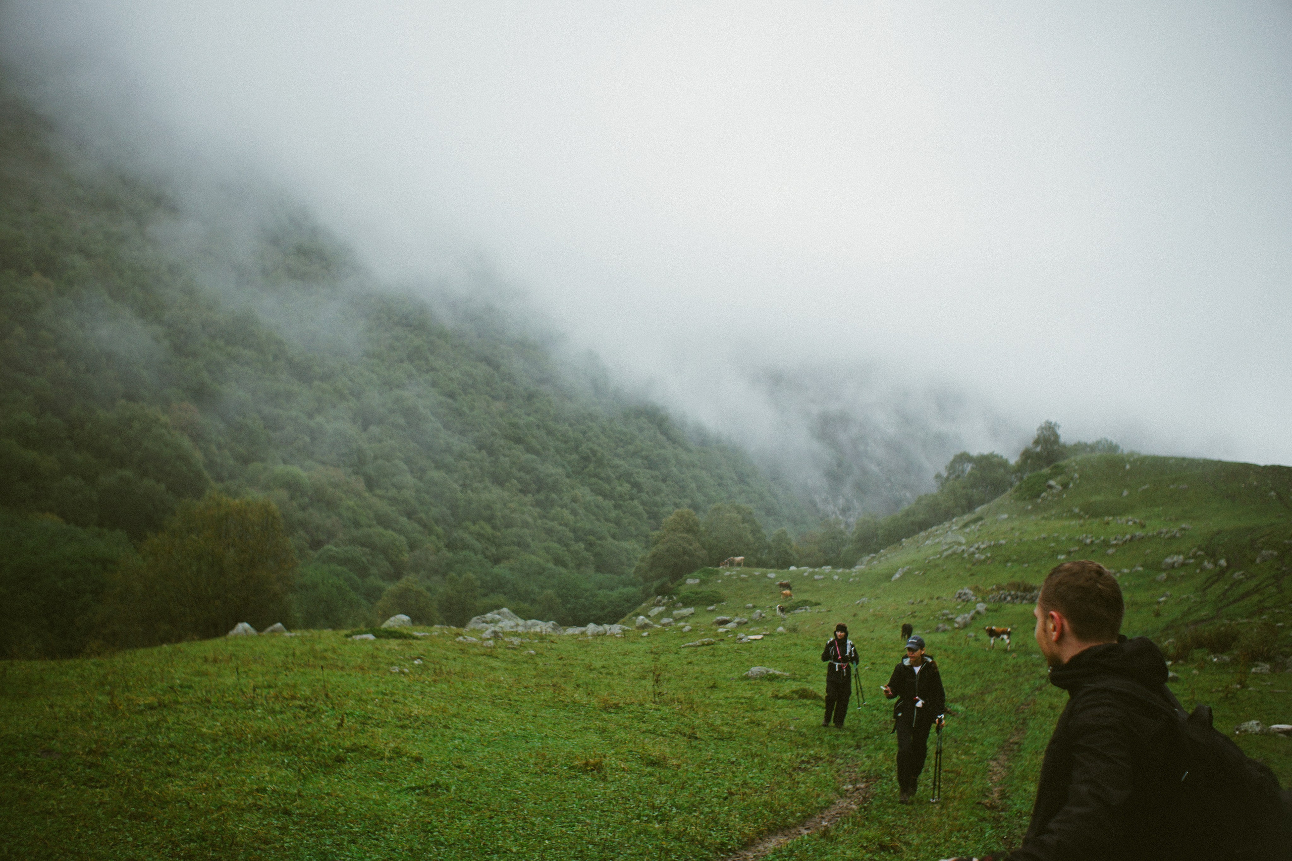 Прайс-лист на услуги. NECULTURED PHOTOGRAPHER