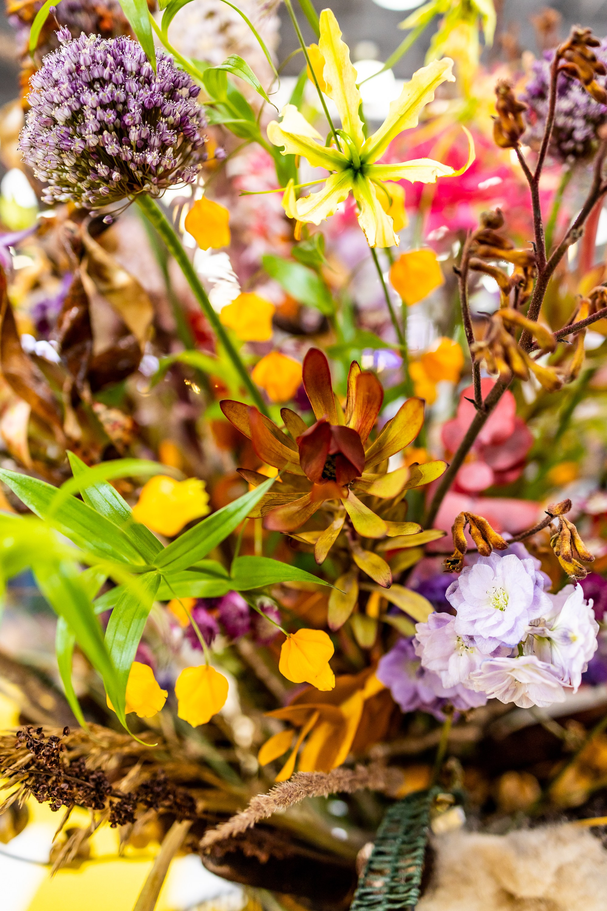 Цветы-Экспо 2024. Фотосессии и репортаж — Фотограф в Москве — Рина Серёгина