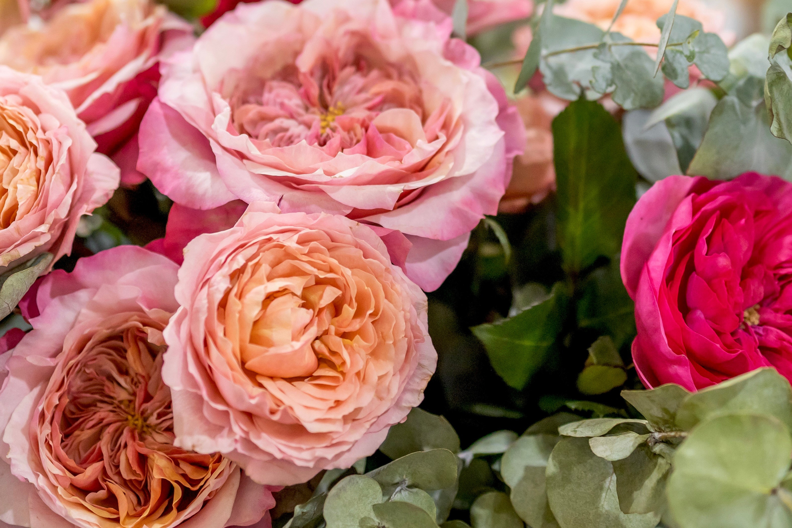 Цветы-Экспо 2024. Фотосессии и репортаж — Фотограф в Москве — Рина Серёгина