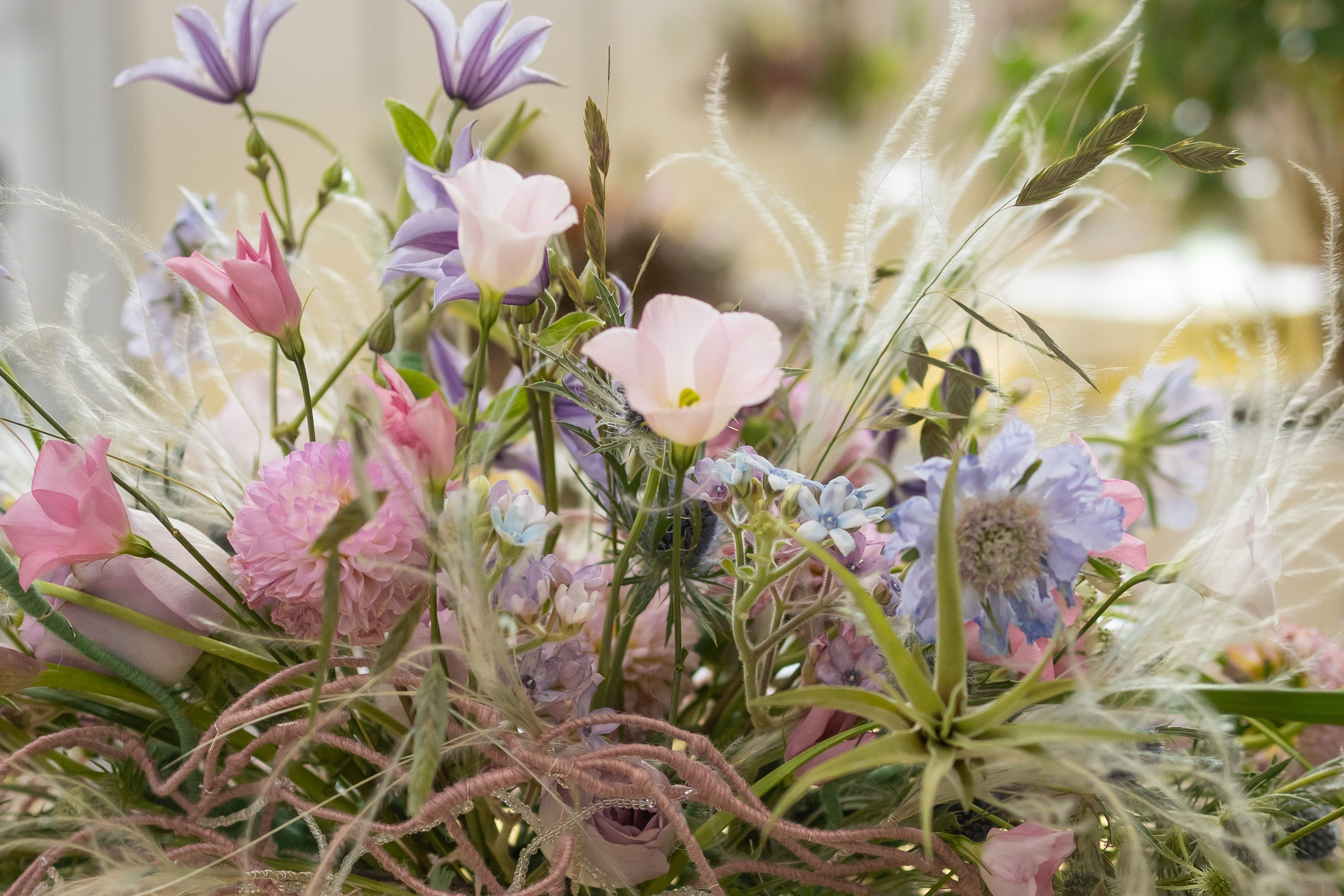 Цветы-Экспо 2024. Фотосессии и репортаж — Фотограф в Москве — Рина Серёгина