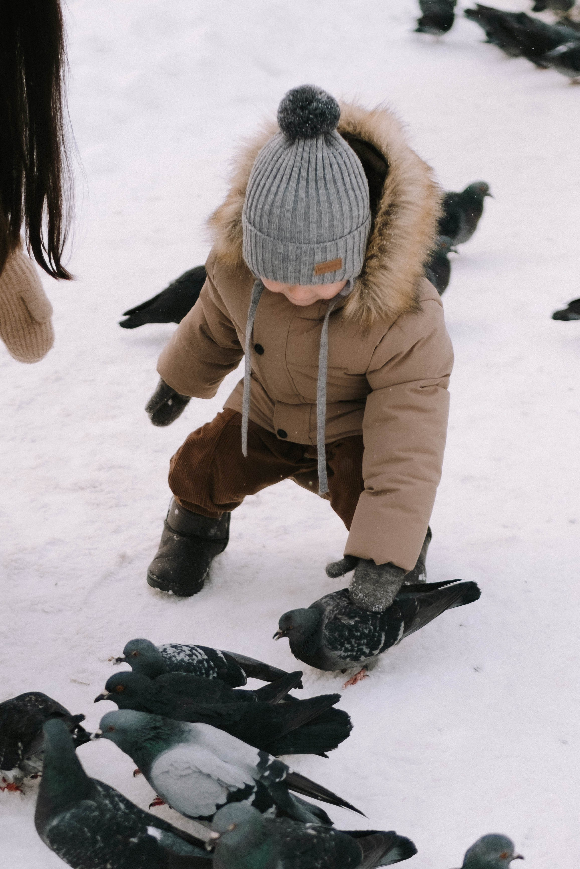 Алиса, Артём и Мотя. Свадебный фотограф Оля Григунова