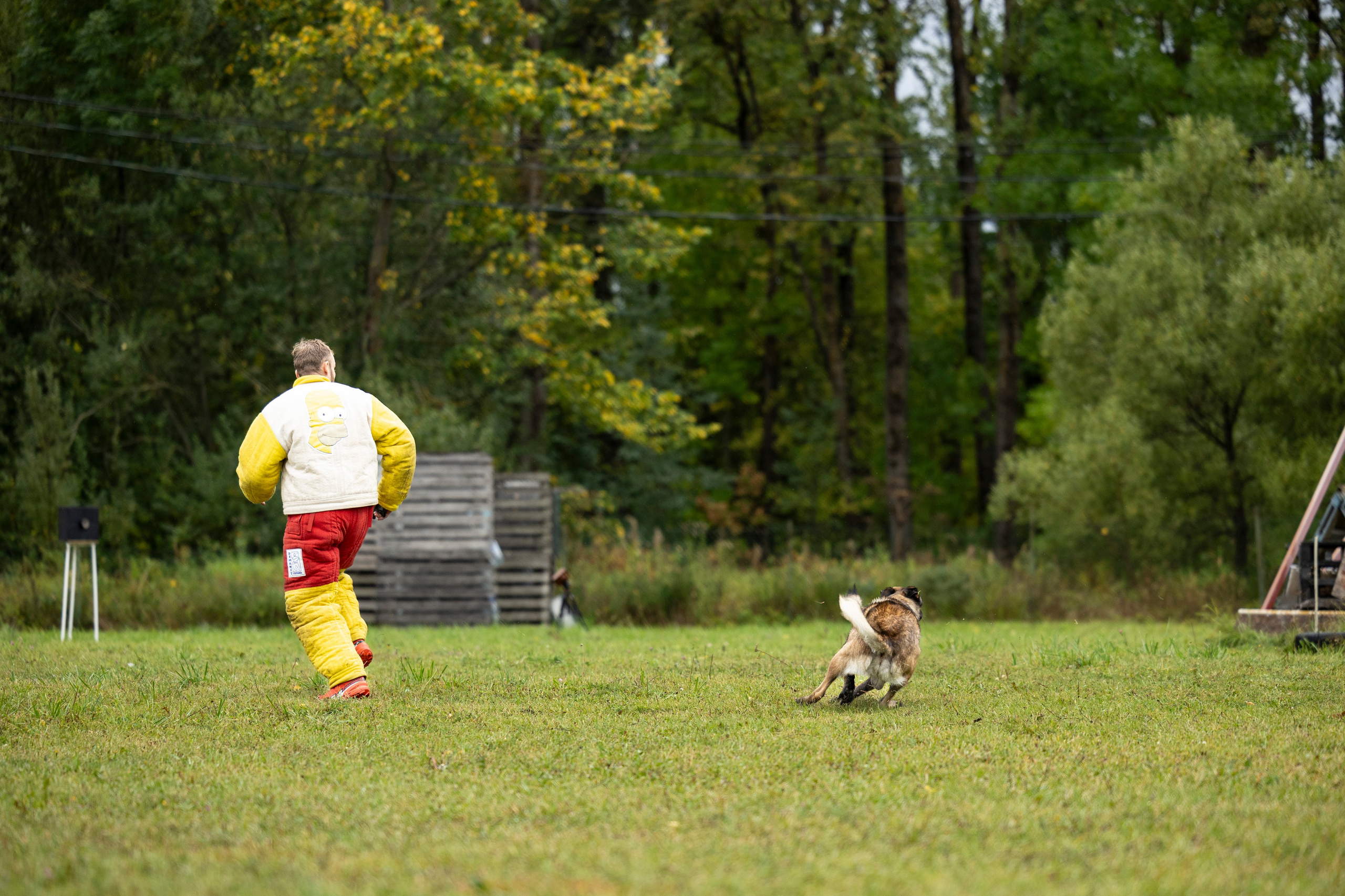 Испытания по Мондьорингу г. Пушкин. Фотограф-анималист Анна Маринич
