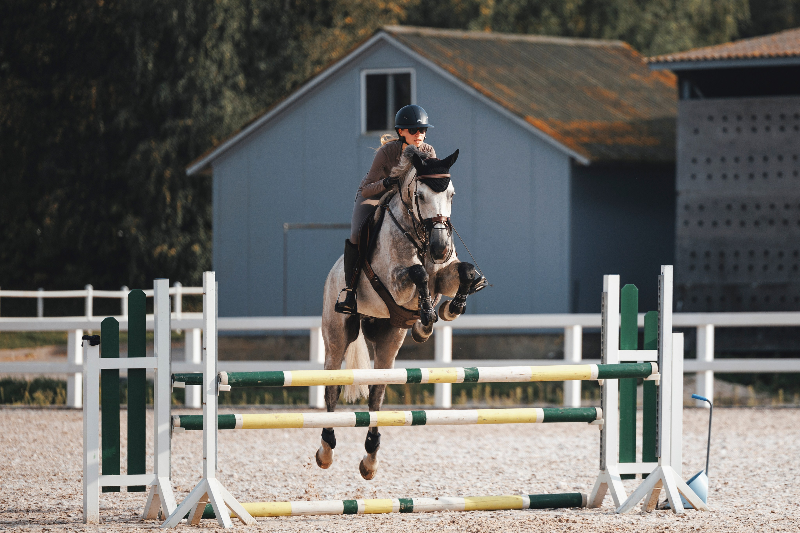 Конкур. Фотограф-анималист Анна Маринич