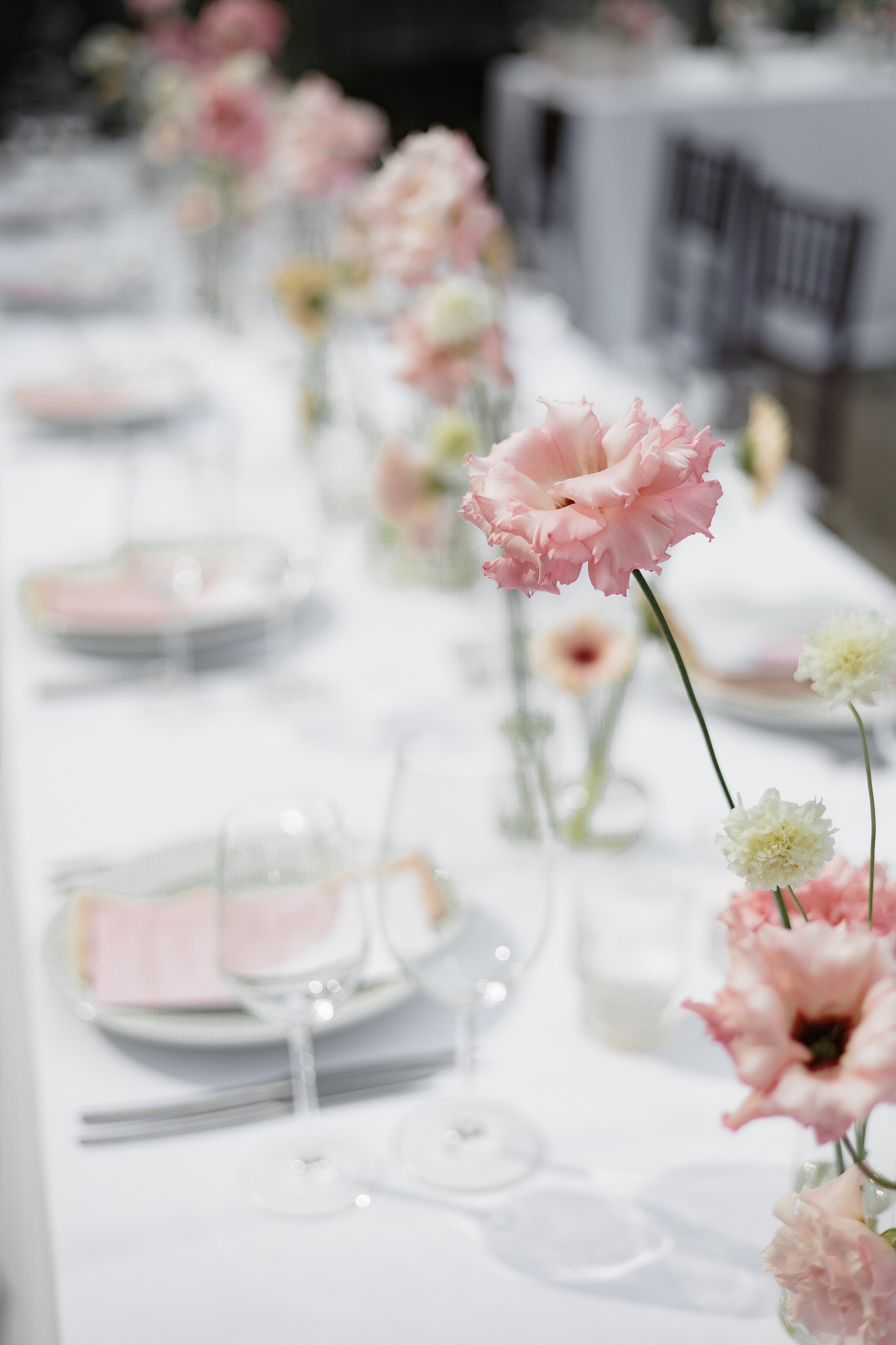 11/08/2023. Свадебный фотограф в Санкт-Петербурге Александр Пащенко