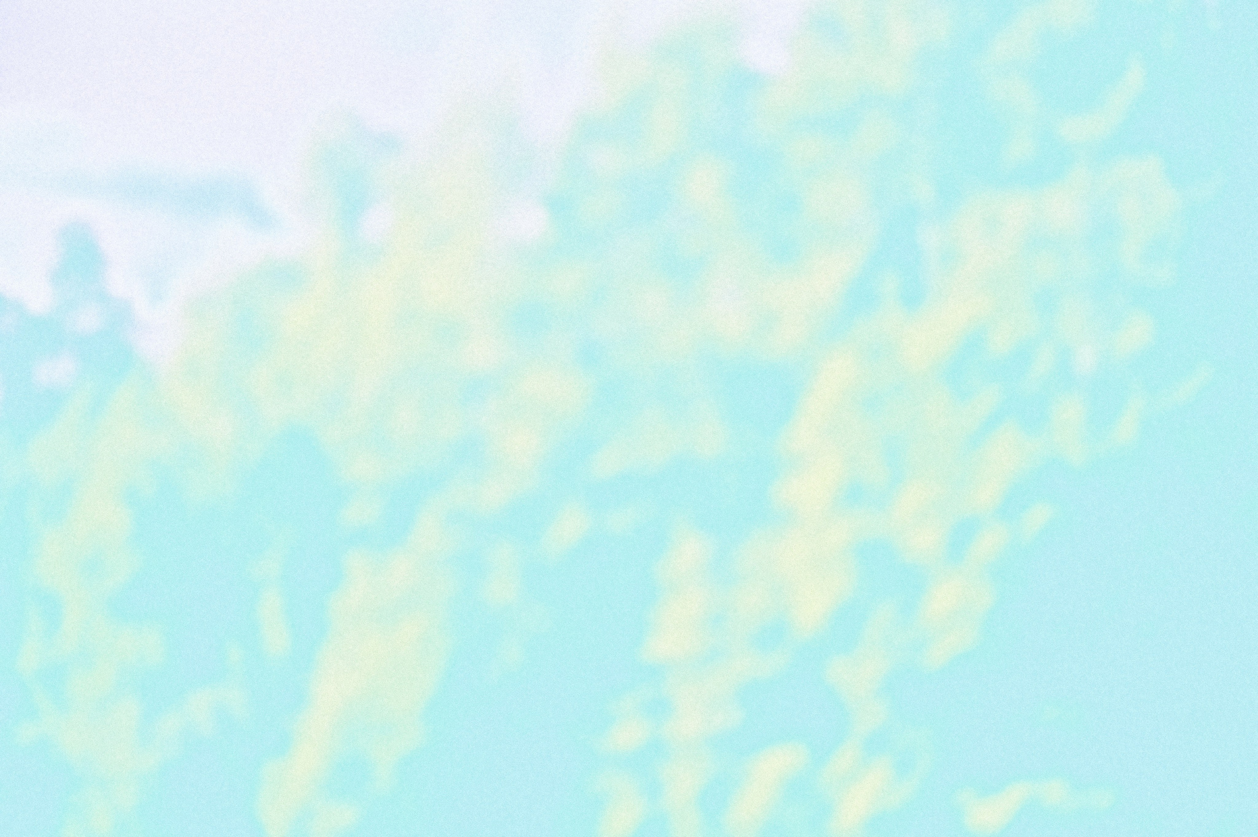 Negative Colors. Художественный фотограф в Москве Алексей Сутягин